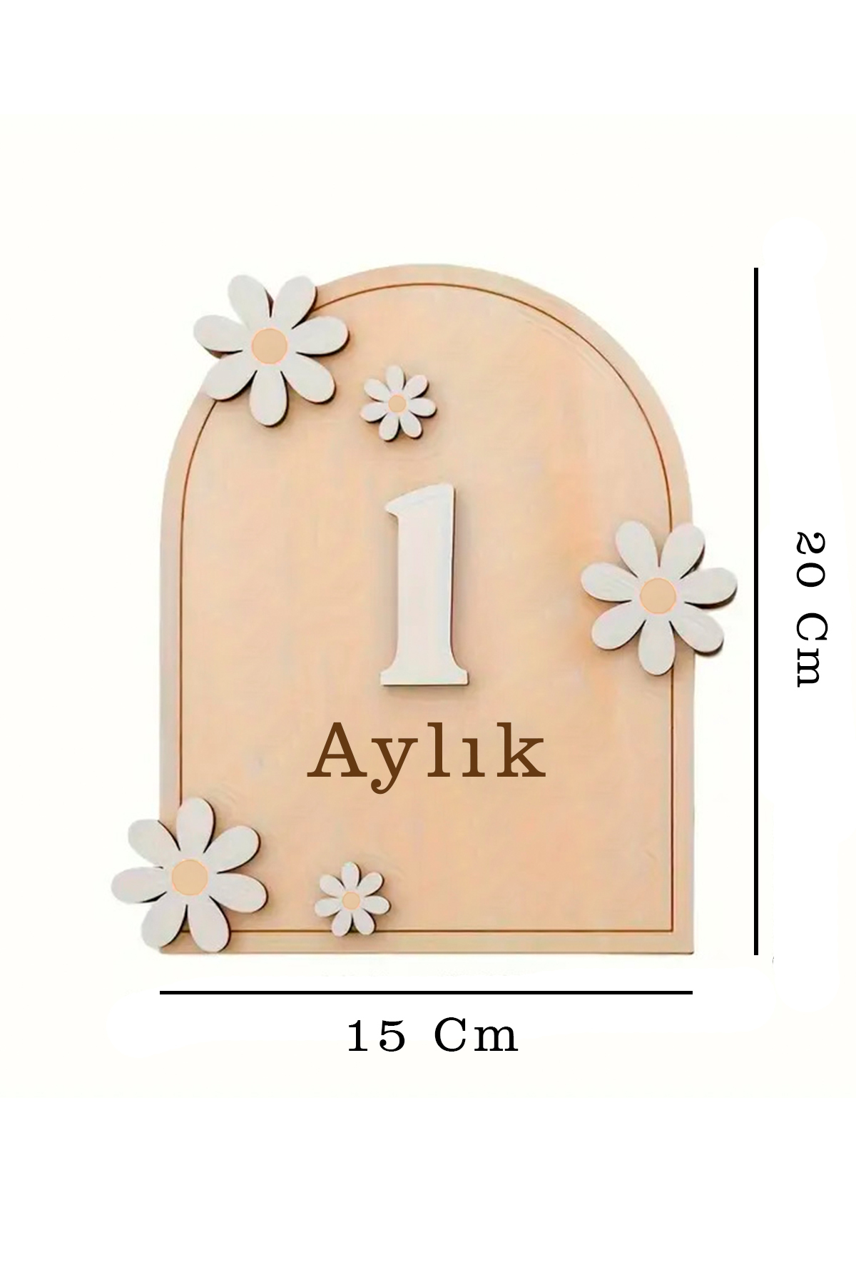 GONCA EĞİTİM Ahşap Bebek Aylık Gelişim Kartları | 1-12 Ay Fotoğraf Çekim Kartı | Doğum Günü Süsü Hediyelik Set fotoğrafı 4 (önizleme)