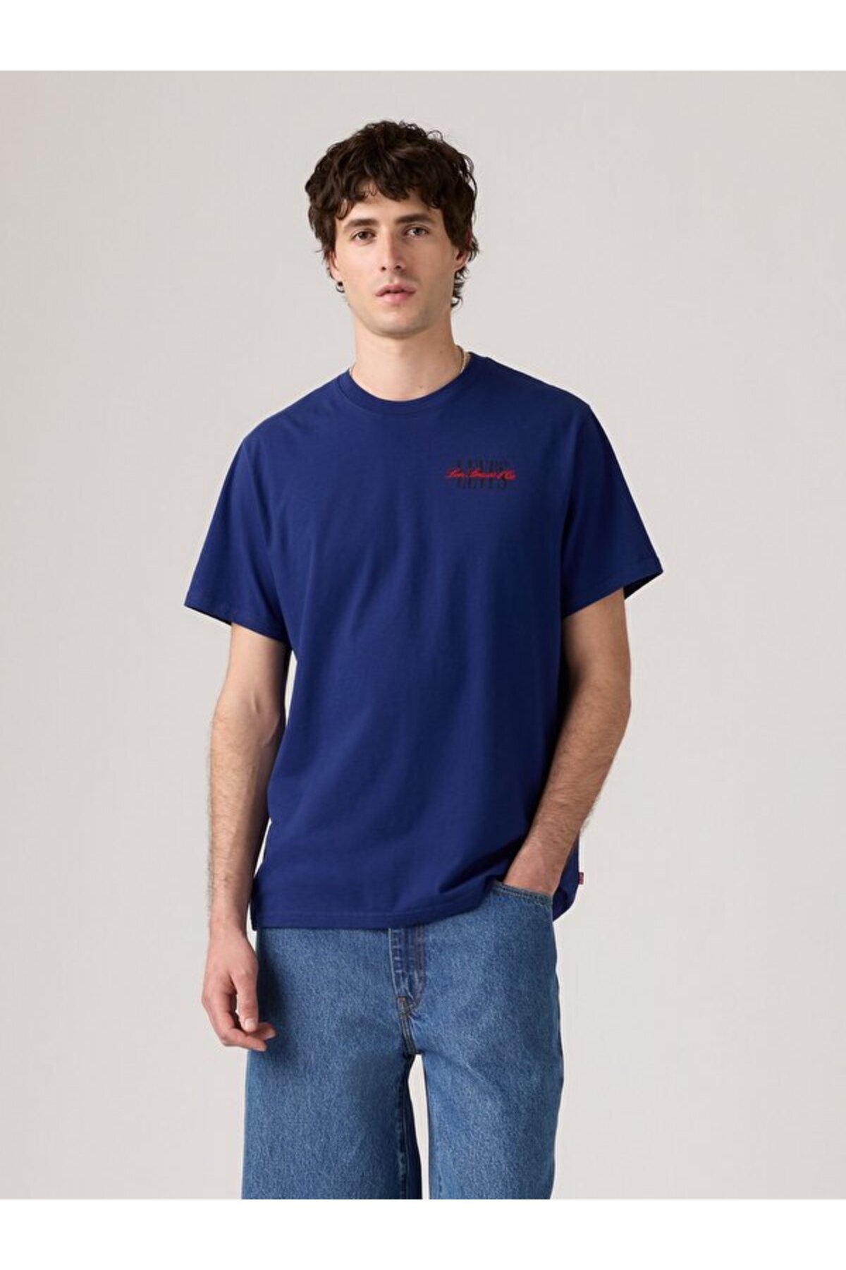 لیوایز تی شرت مردانه آبی Lse Ss Relaxed Fit Tee Ssnl Series