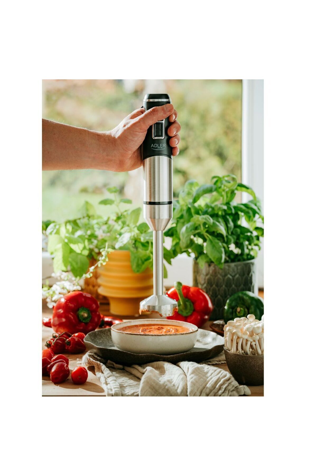 Zetta Innovation-Hand blender - 1900W, single speed + Turbo, with ice crushing function 5