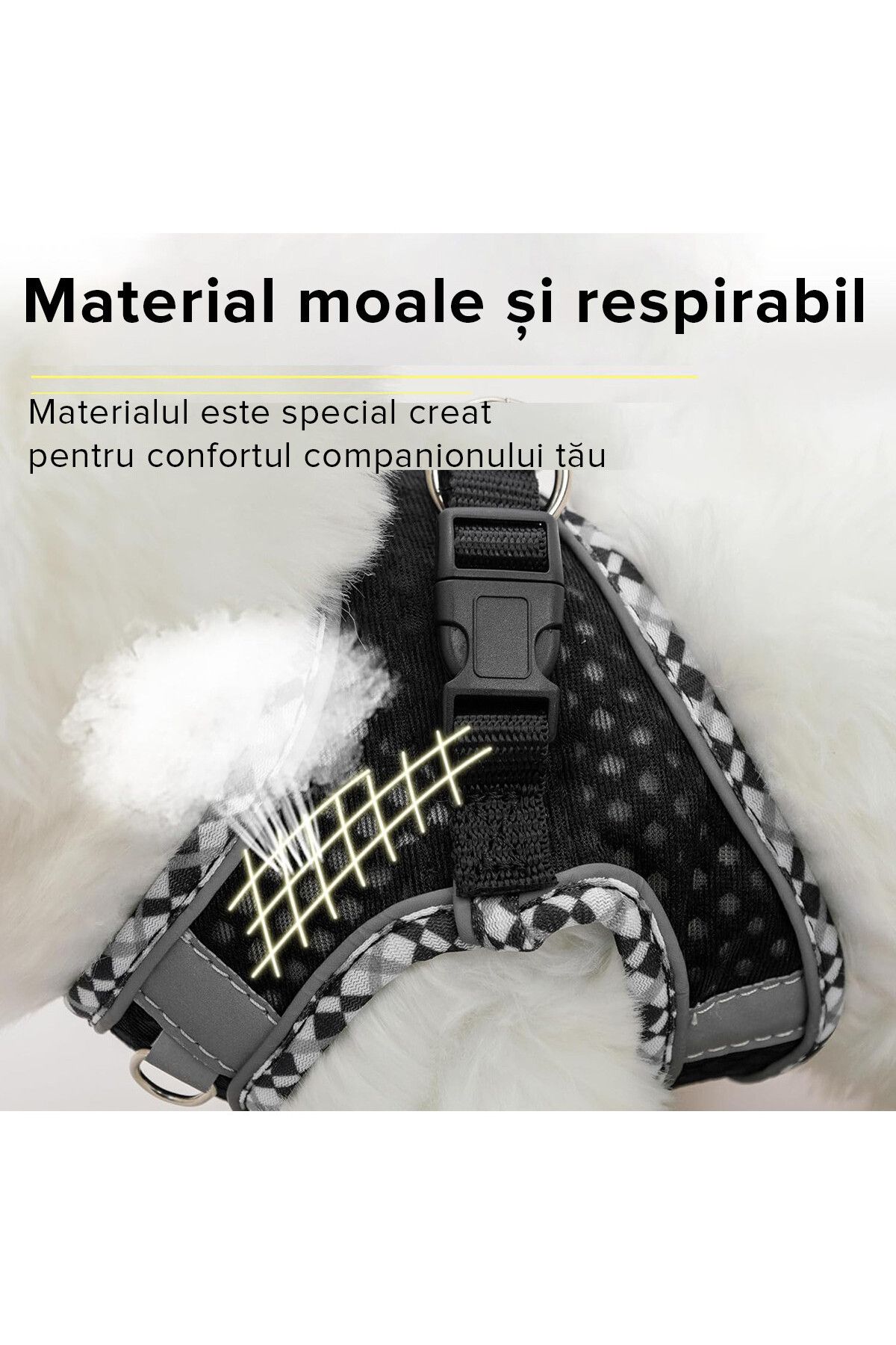 QuTek-Harness and leash set, with padded vest, made of breathable mesh, comfortable, for dogs and cats 4