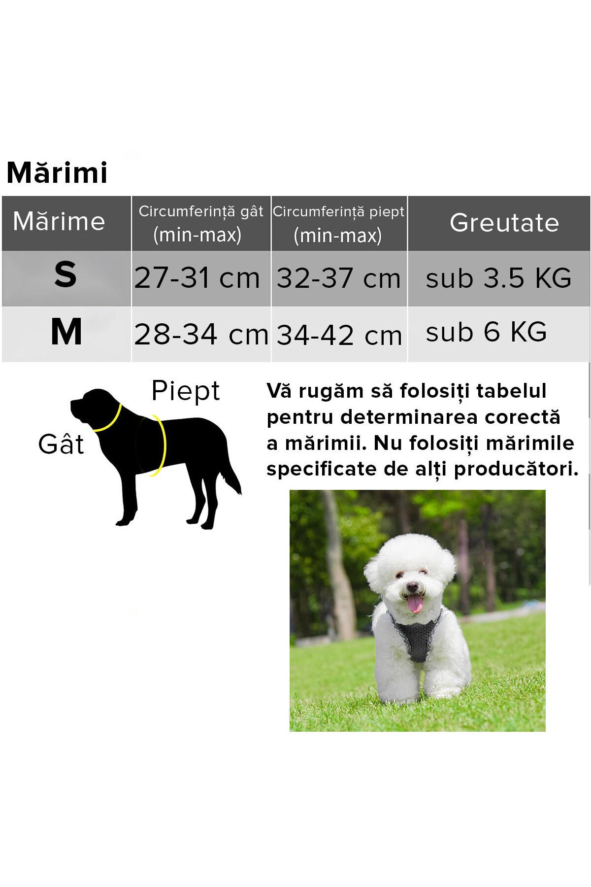 QuTek-Harness and leash set, with padded vest, made of breathable mesh, comfortable, for dogs and cats 5