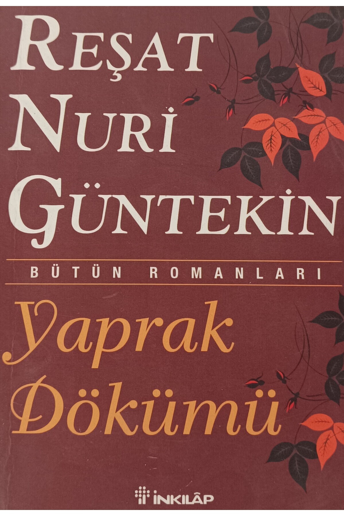 Kişisel Yayınlar YAPRAK DÖKÜMÜ REŞATNURİGÜNTEKİN İNKILAP -ikincielkitaptır-