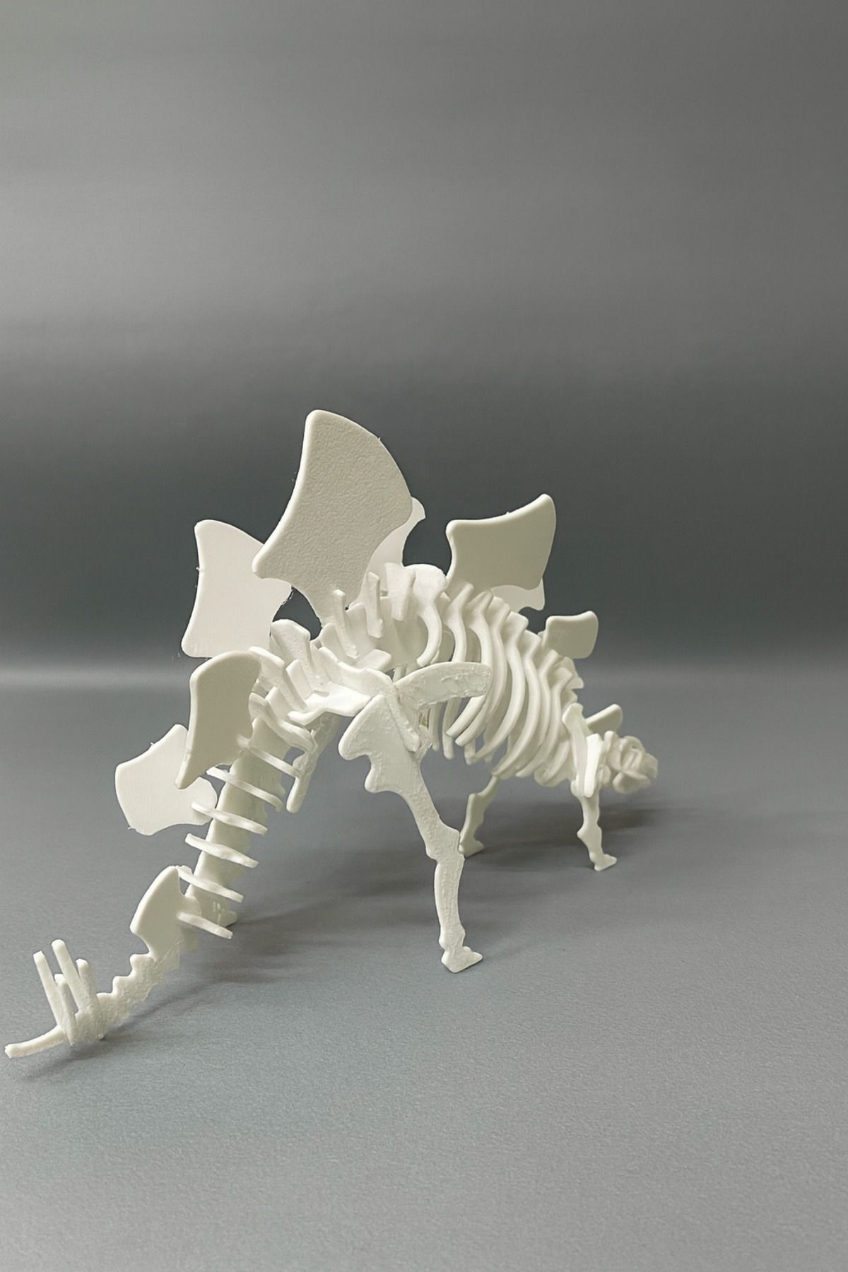 DUER-Stegosaurus 3D Dinosaur Model – 38 Piece DIY Puzzle Set (with Installation Diagram, Disassembled) 4