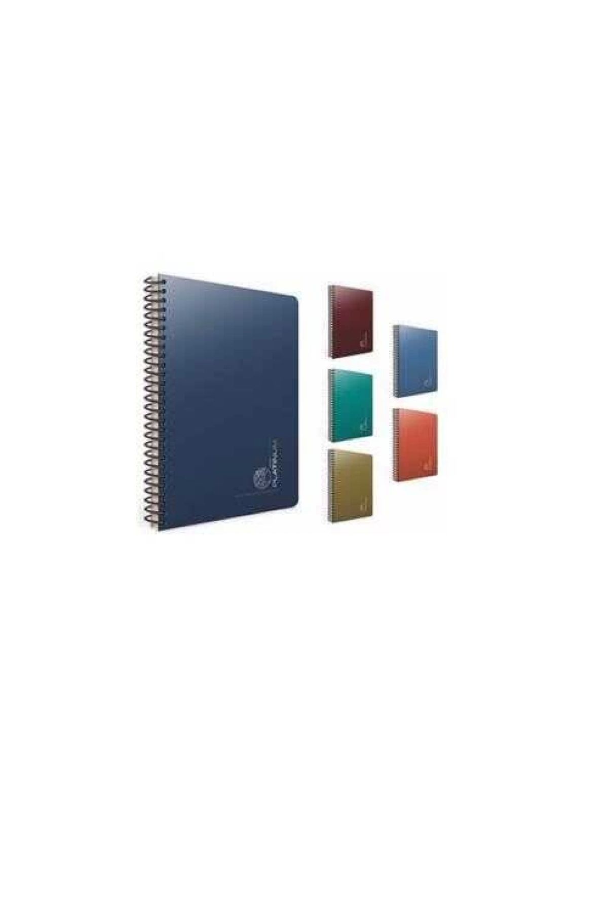 Gıpta-Platinum Spiral Plastic Cover Notebook A4 80 Sheets Checkered 1