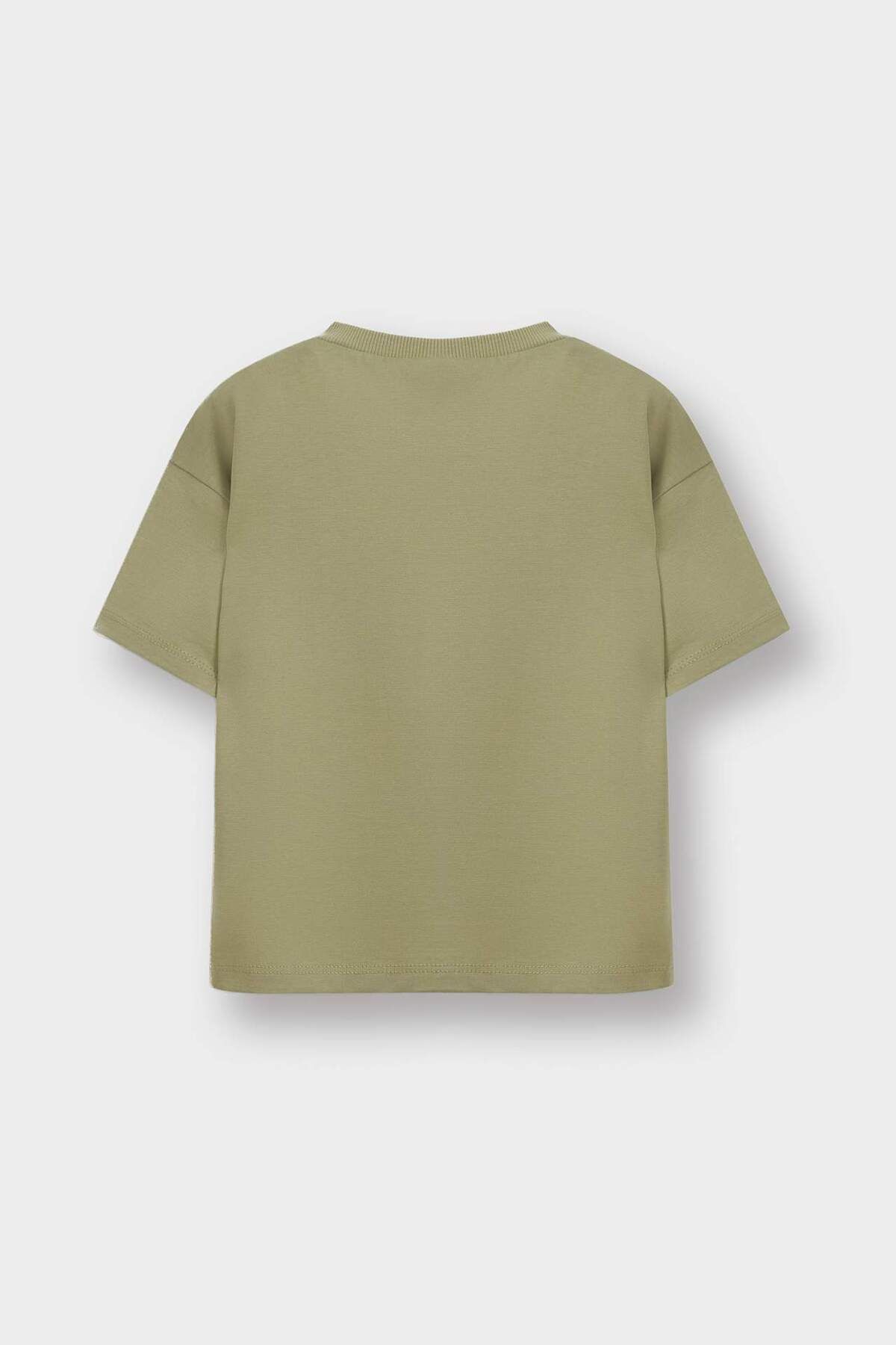 DeFacto-Baby Boy Crew Neck Printed Short Sleeve T-Shirt D7928A525Sm 3