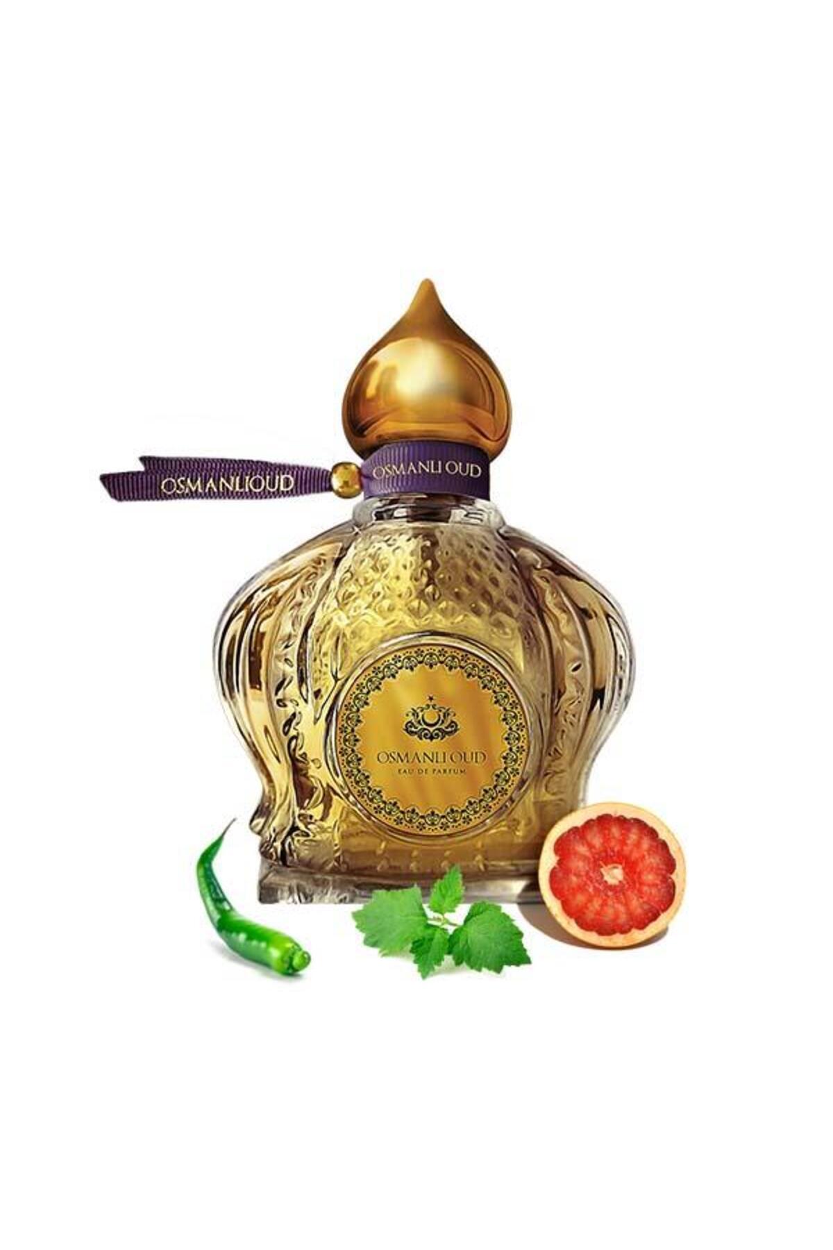 عثمانلی عود عطر مردانه Warriors Doğan Bey EDP 65 ML – Woody Spicy – ​​4112