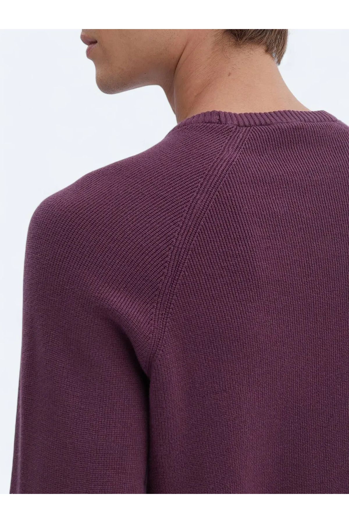 Kip-Pulover din tricot cu model de prune 5