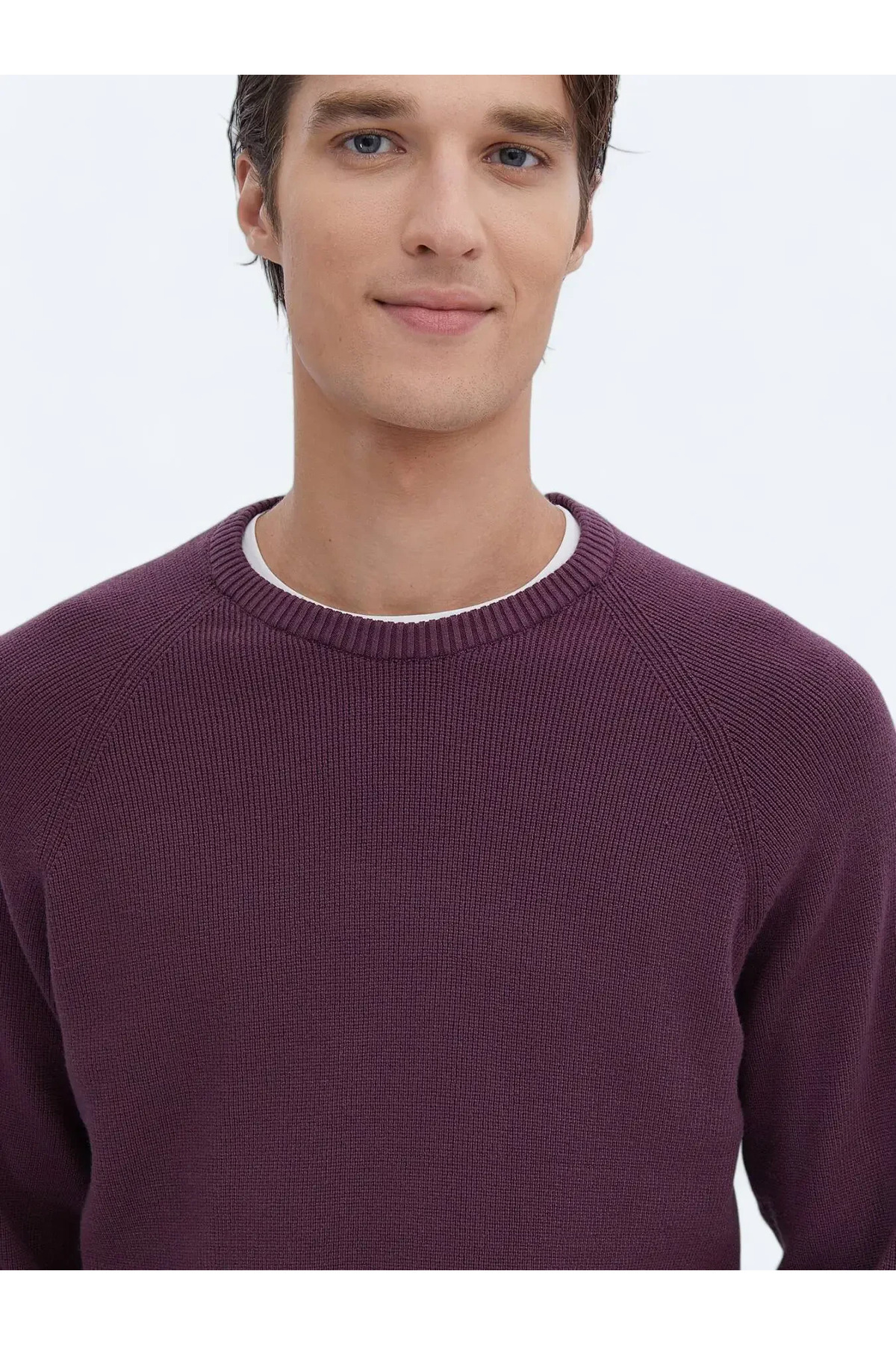 Kip-Pulover din tricot cu model de prune 3