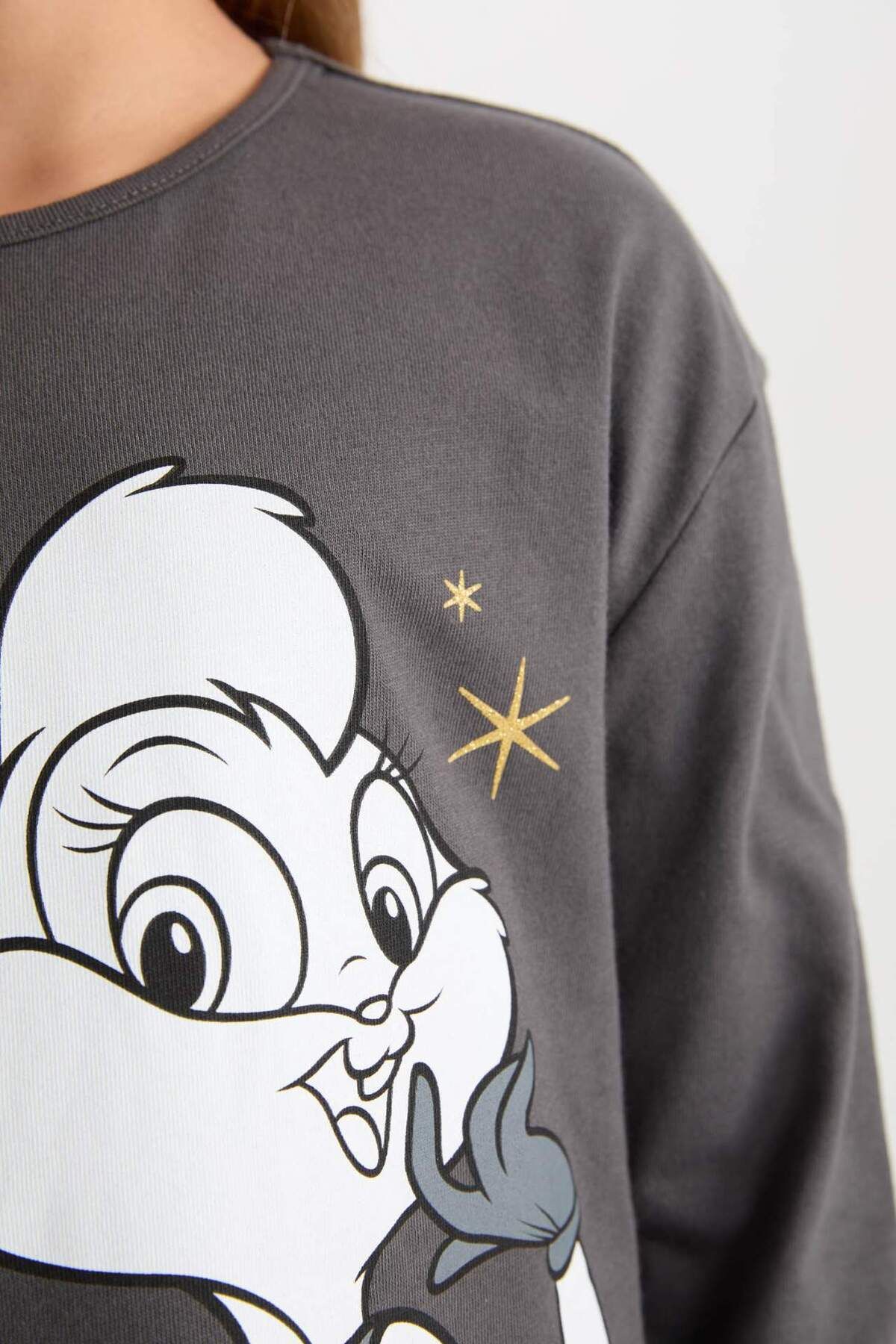 DeFacto-Mädchen-Pyjama-Set Looney Tunes Langarm-Oberteil mit elastischem Bund und langem Unterteil D6657A824WN 4
