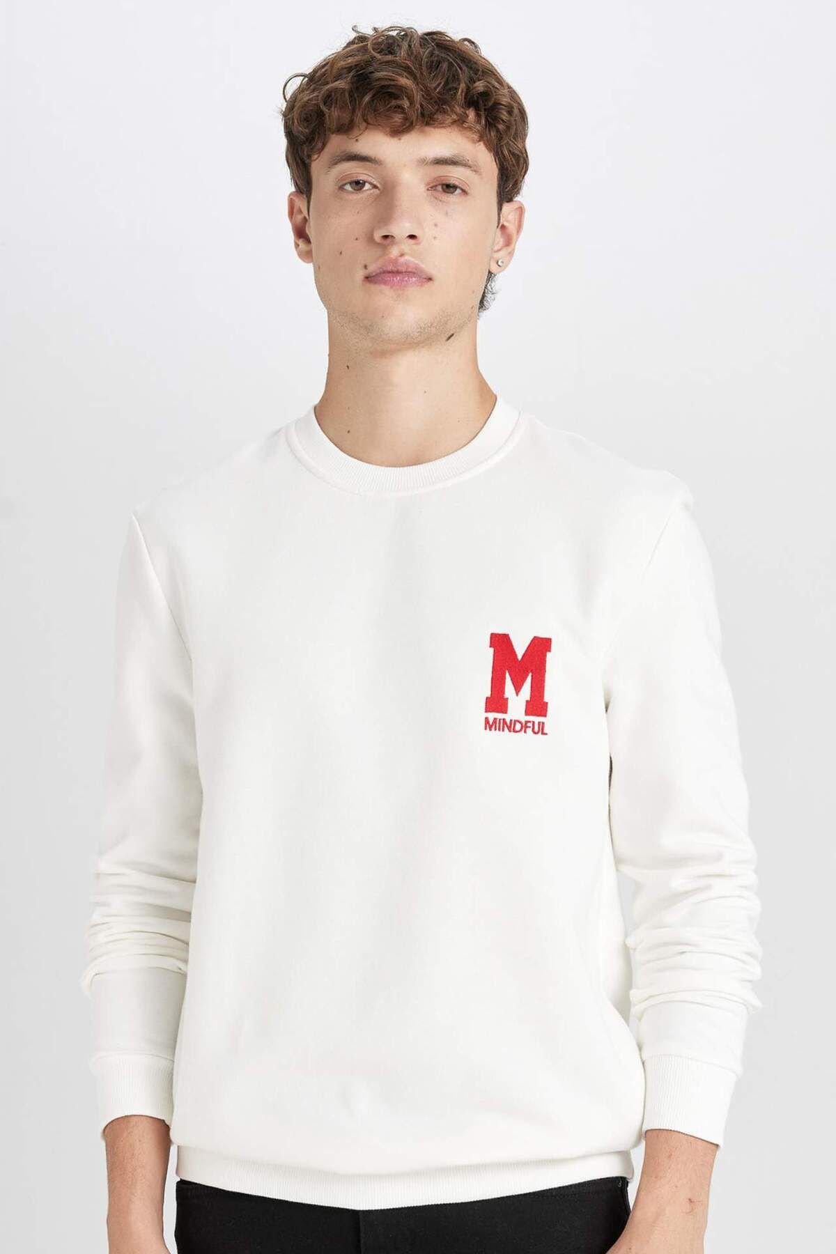 DeFacto-Nová tlustá mikina Regular Fit Crew Neck s potiskem D3670Ax24Au 1