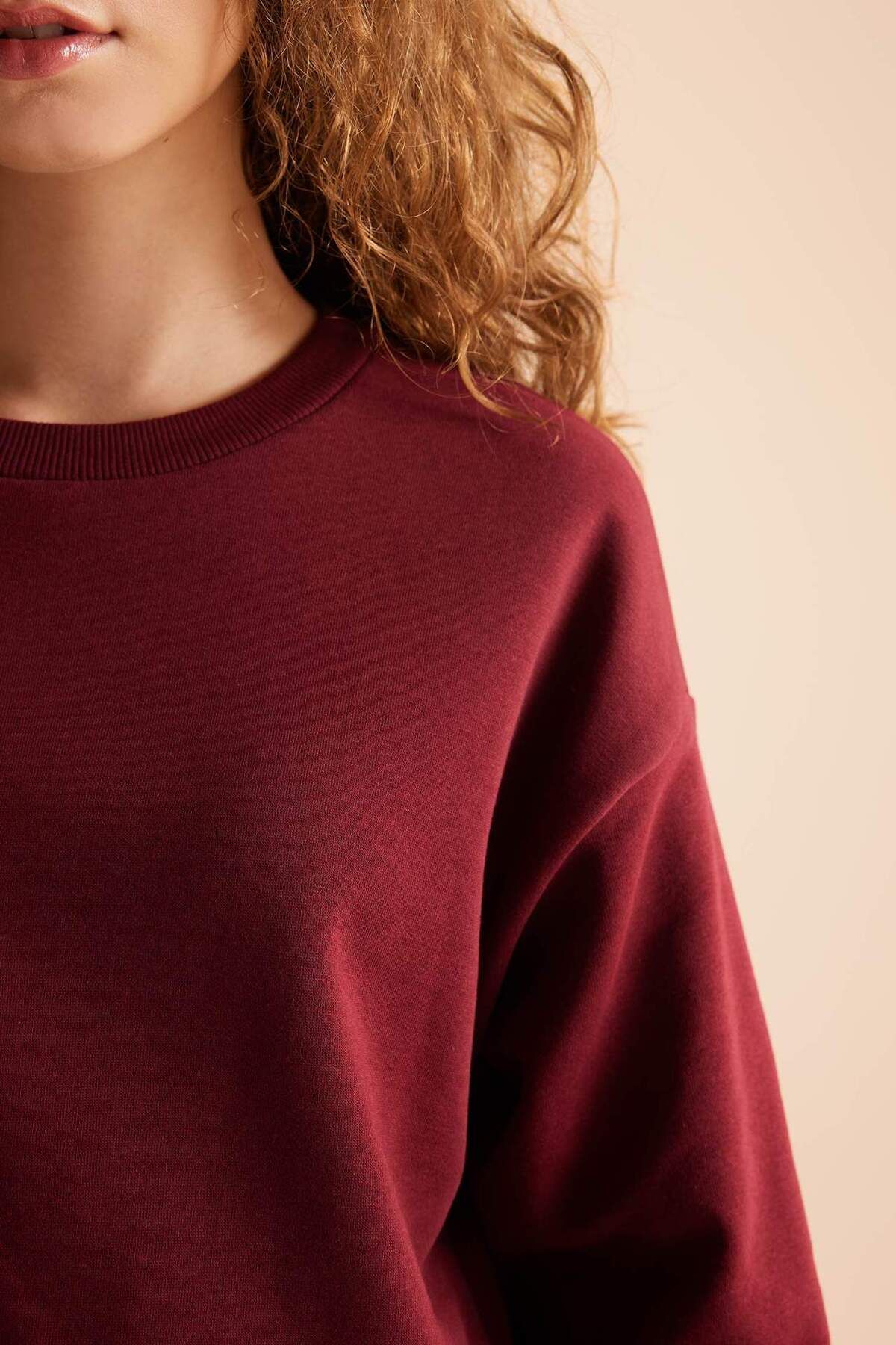 DeFacto-Regular Fit Regular Fit Basic Thick Fleece Σετ φόρμας D8022axns 4
