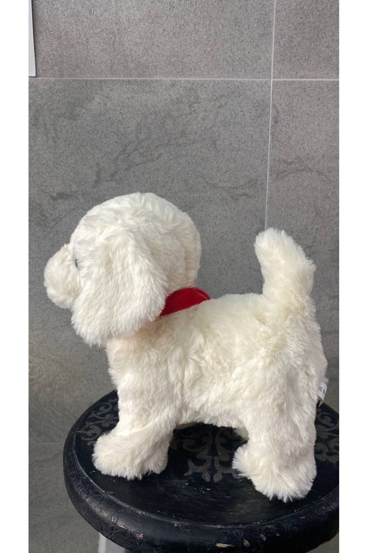 Magicway Müzikli Yürüyen Havlayan Yalayan Kuyruk Ve Başını Sallayan Ses Kaydı Yapan Pilli Peluş Köpek fotoğrafı 2 (önizleme)