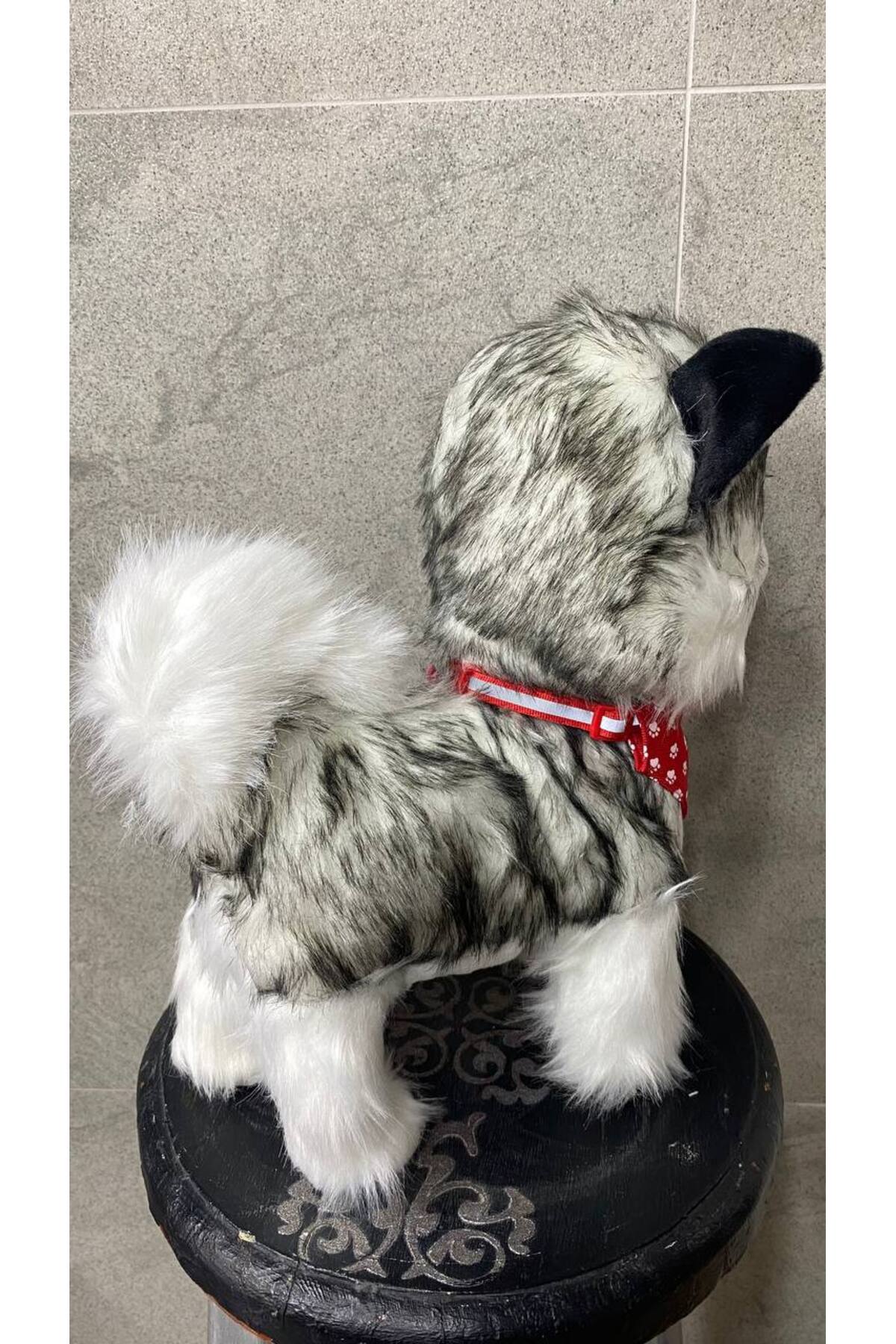 Magicway Müzikli Yürüyen Havlayan Yalayan Kuyruk Ve Başını Sallayan Ses Kaydı Yapan Pilli Peluş Köpek fotoğrafı 4 (önizleme)