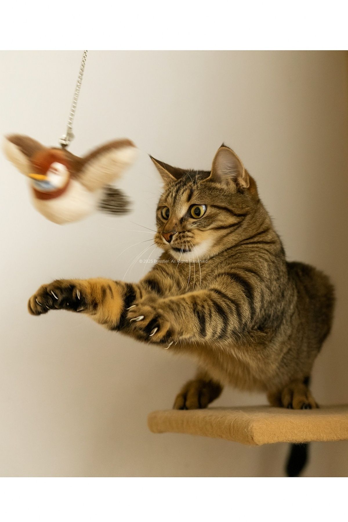 Busstier-Touch Sound Flapping Wings Hangable Plush Bird Cat Toy Movable Interactive 4