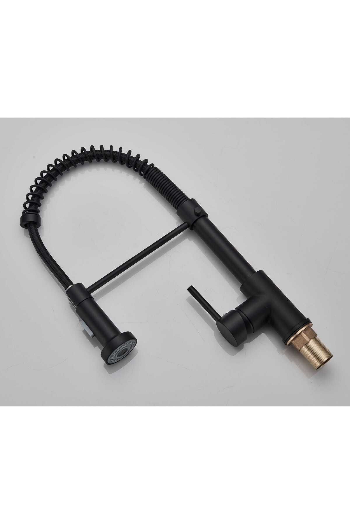 CasaVie-Professional kitchen faucet, with flexible shower, 2 flow functions, matte black, code 1335 7