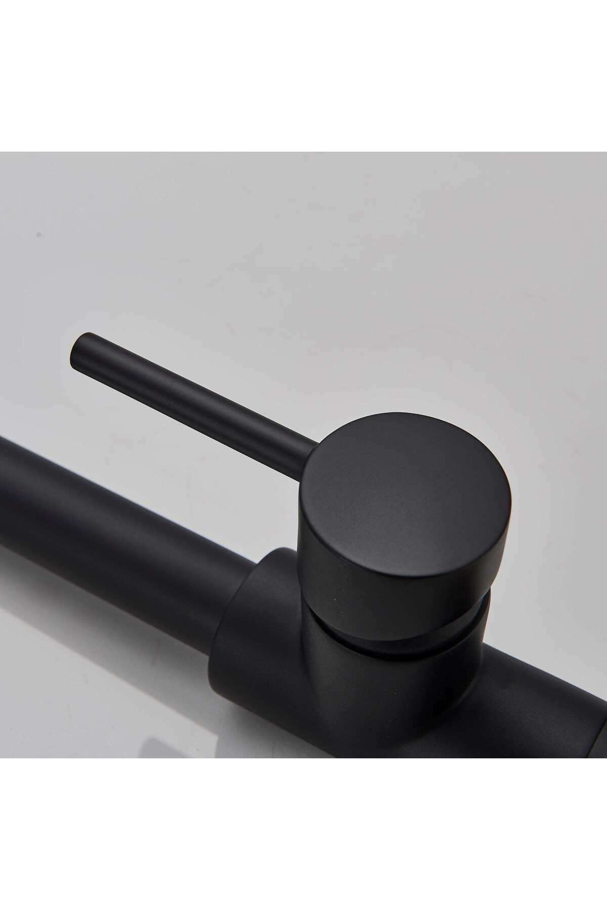 CasaVie-Professional kitchen faucet, with flexible shower, 2 flow functions, matte black, code 1335 8
