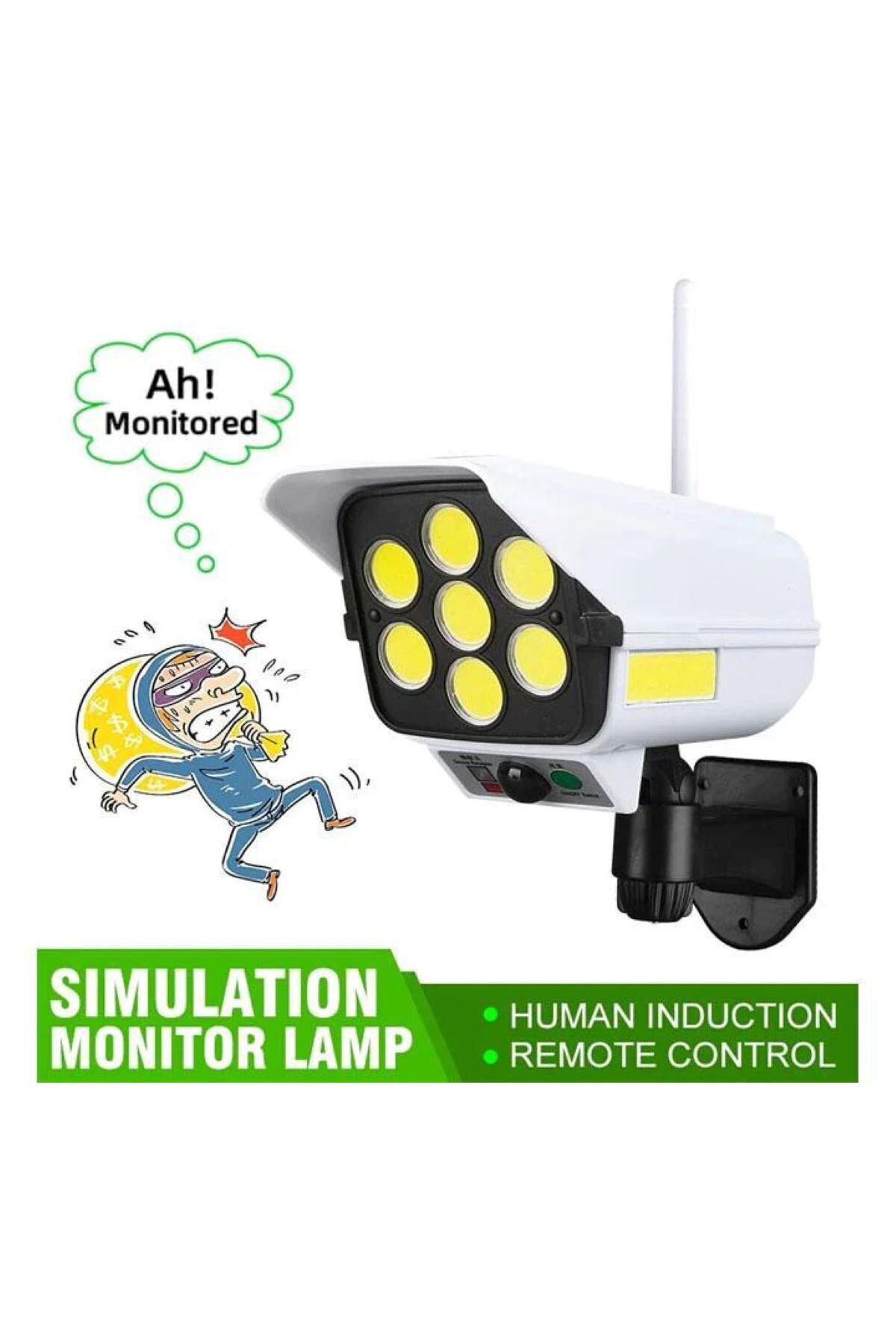 Generic-Simulation Monitoring Solar Induction Lamp 2