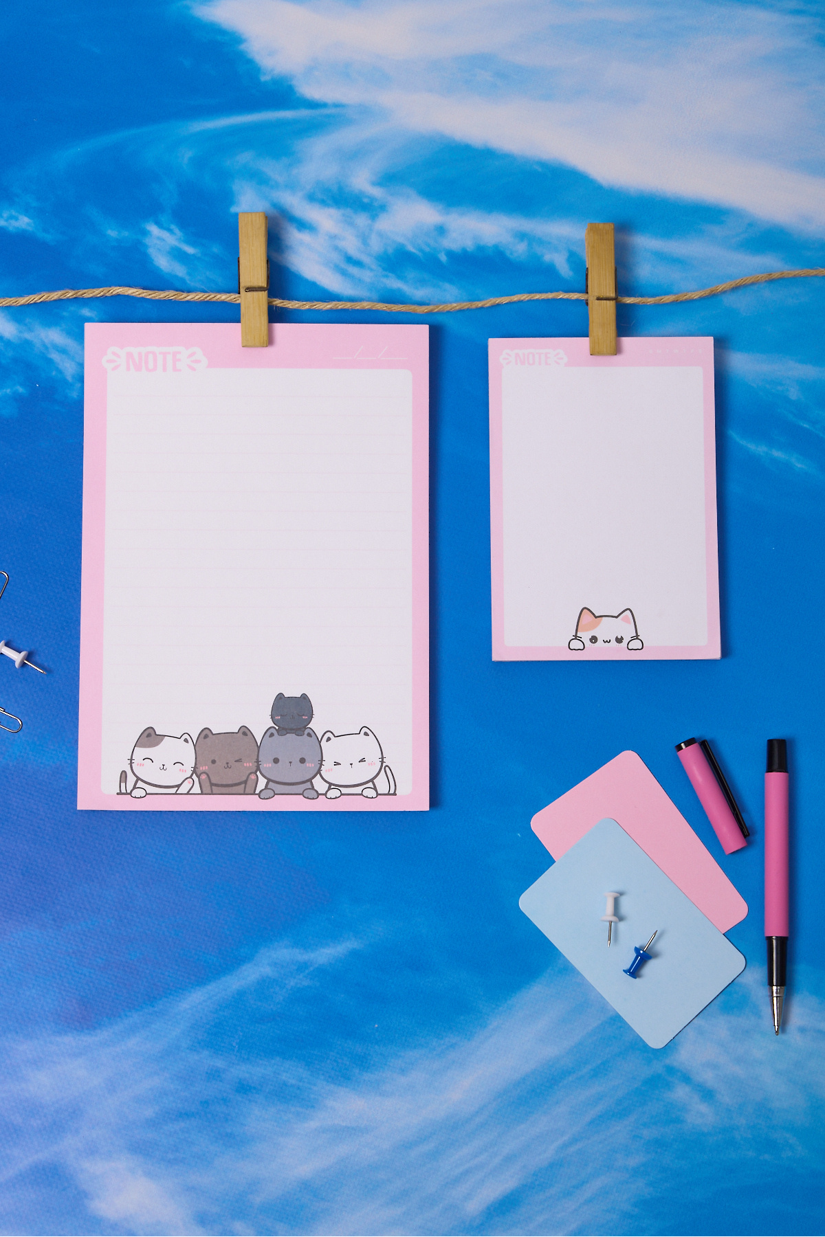 Lolla-2-Pack Desktop Pink Cat Notepad Lined Medium and Dotted Small Size 100 Sheets Notepad 2