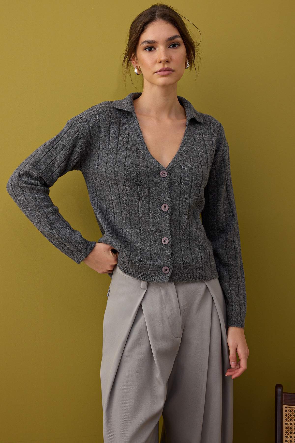 Trendyolmilla  Antrasit Yünlü Basic Polo Yaka Triko Hırka | TWOAW26HI00084 - Görsel 2