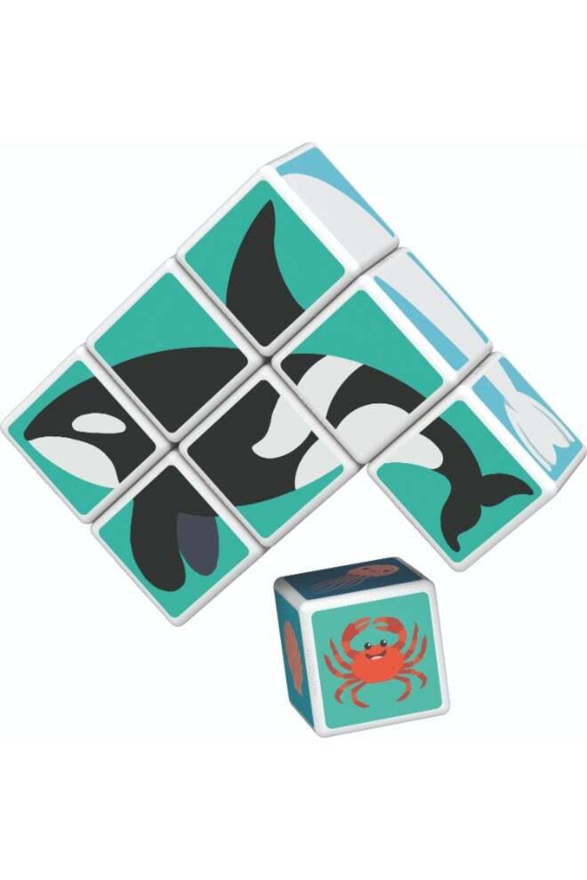 مکعب جادویی، حیوانات دریایی چاپشده + کارتها، اسباببازی STEM برای کودکان، ۱۰۰٪ بازیافتی، ساخت سوئیس