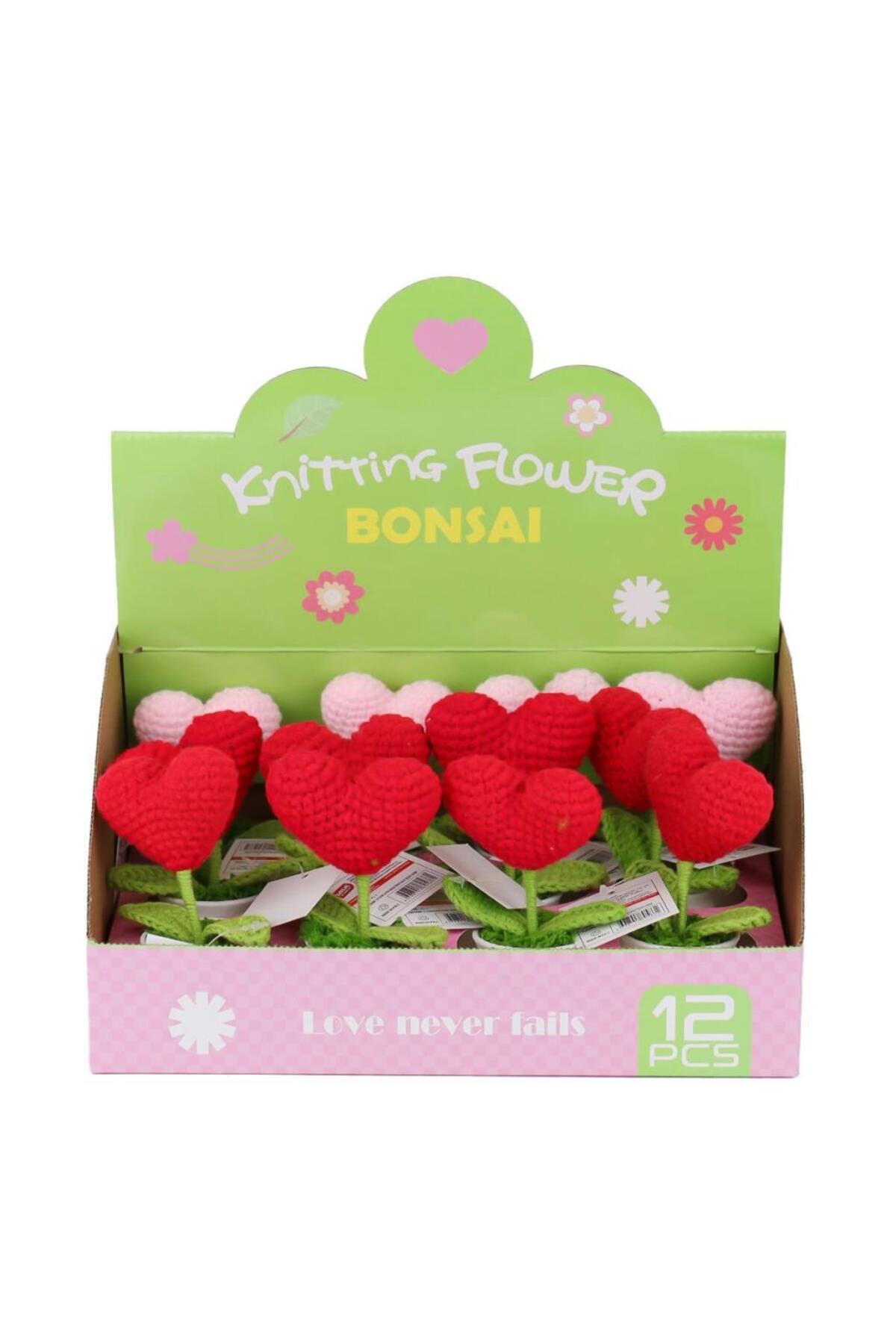 نسیورلد FL-7، ۱۲ عدد قلب قلاببافیشده در گلدان – Birliktoys