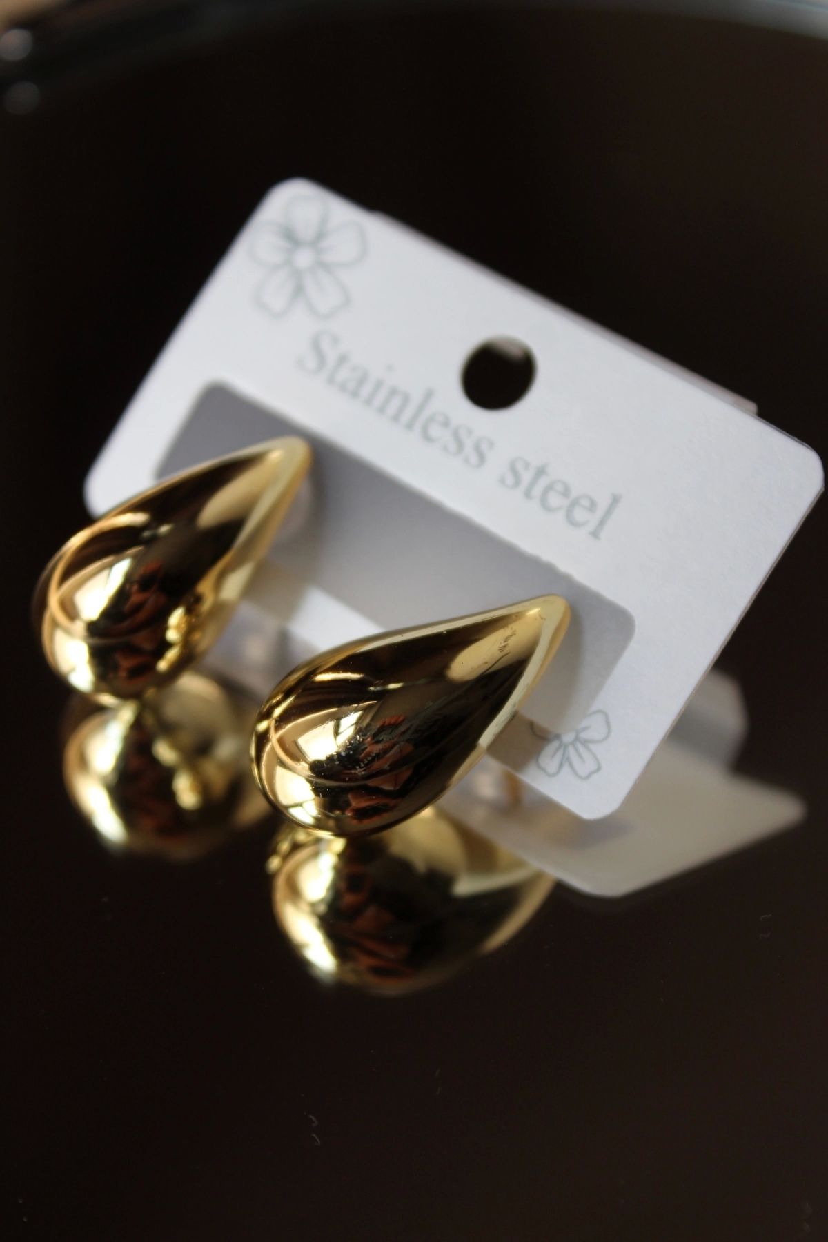 Leo'Stone-Premium Series Polished Drop Model Women's Steel Earrings 2