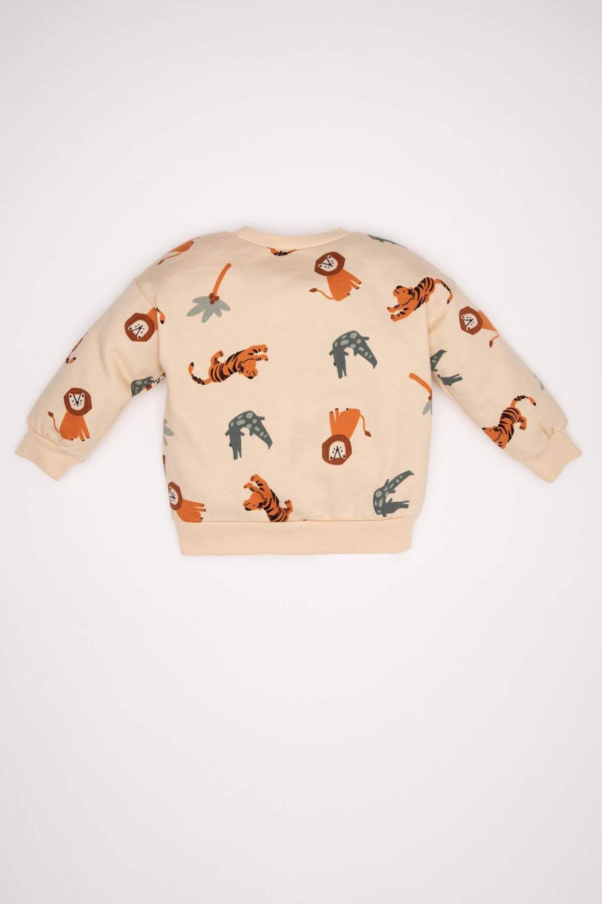 DeFacto-Baby Boy Crew Neck Printed Sweatshirt D2931A524Au 5
