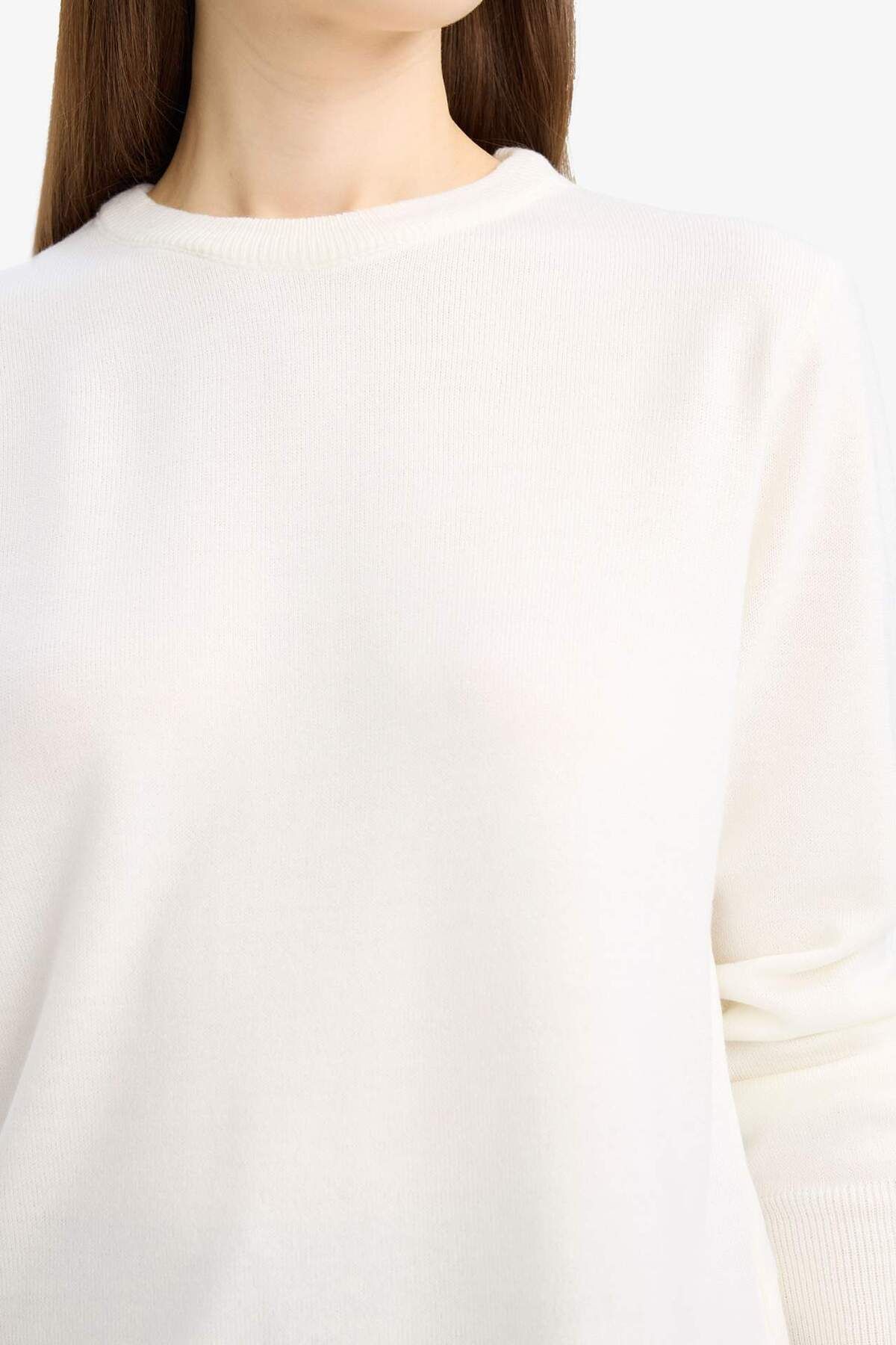 DeFacto-Regular Fit Soft Textured Crew Neck Basic Plain Knitwear Sweater C0058Ax24Wn 5