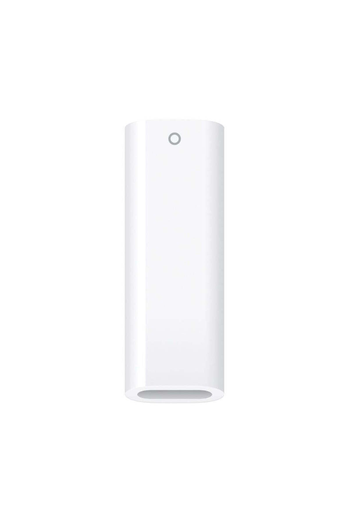 Apple-USB-C to Pencil Adapter 1