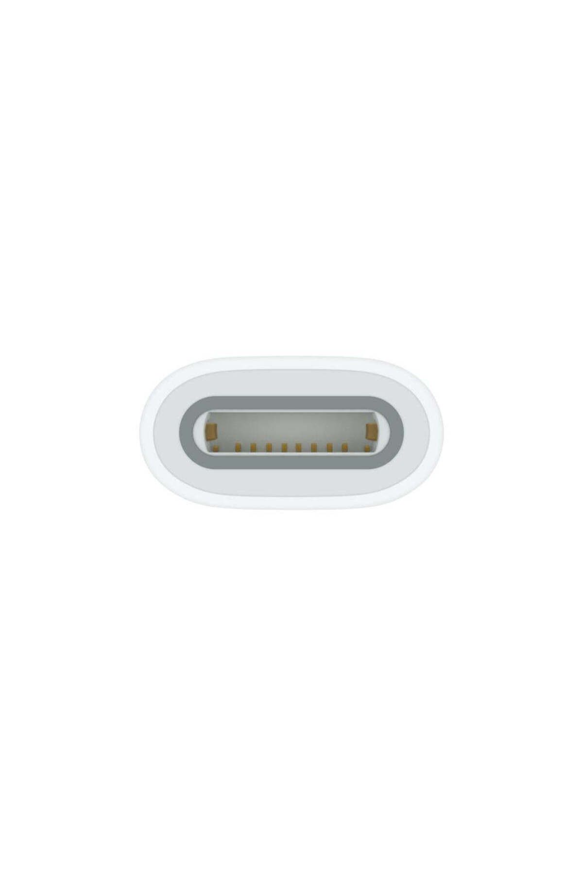 Apple-USB-C to Pencil Adapter 3