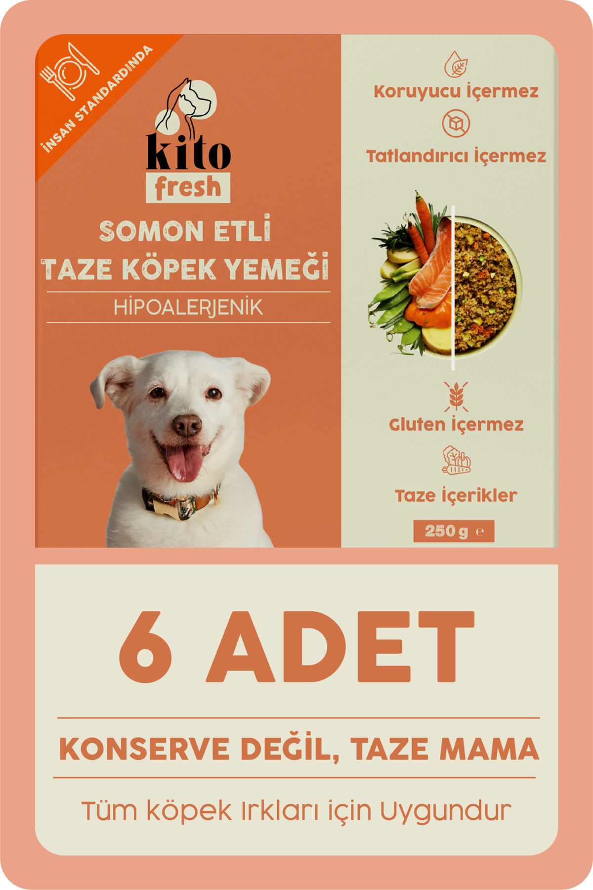 kito 6 Adet Fresh Somon Etli Taze Köpek Yemeği (1,5 KG) (%100 TAZE IÇERİKLİ MAMA)