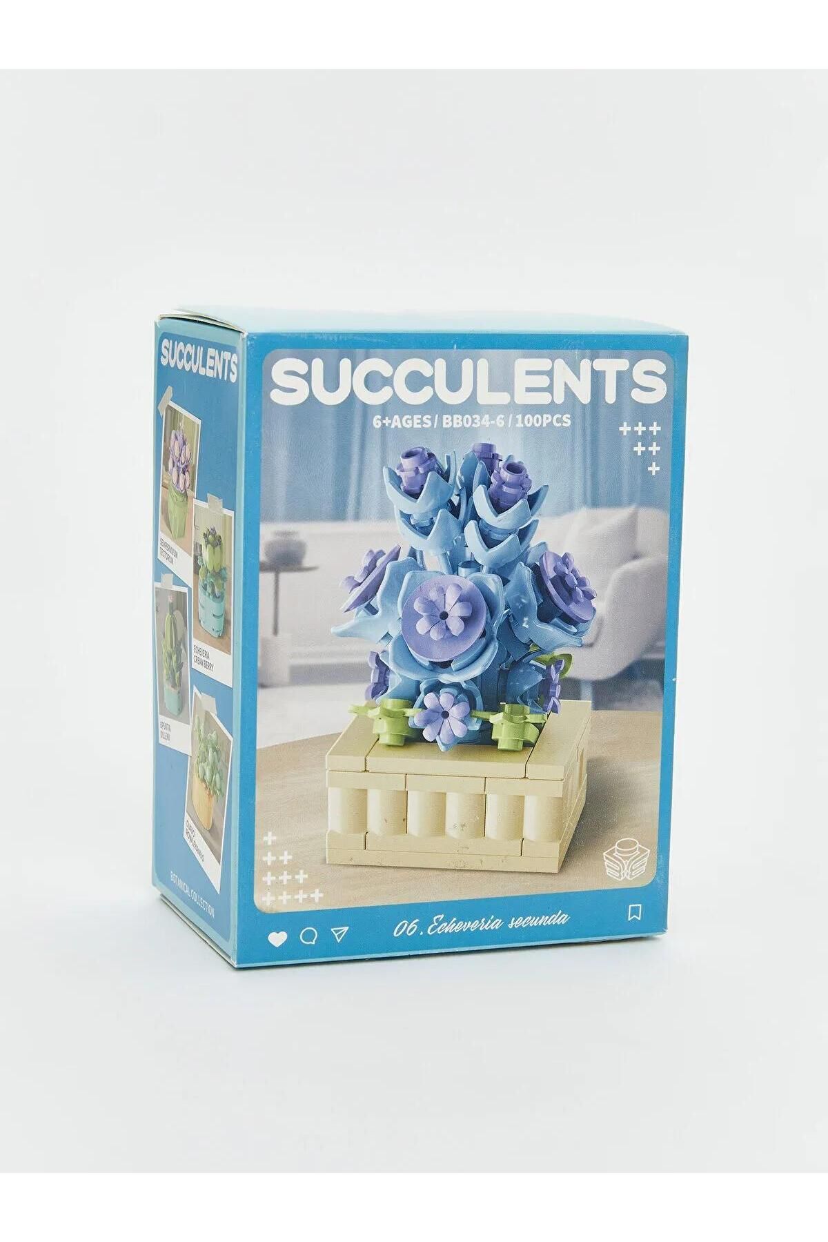LC Waikiki-Lcw Accessories Succulent Flower Model Building Set (W5) 6