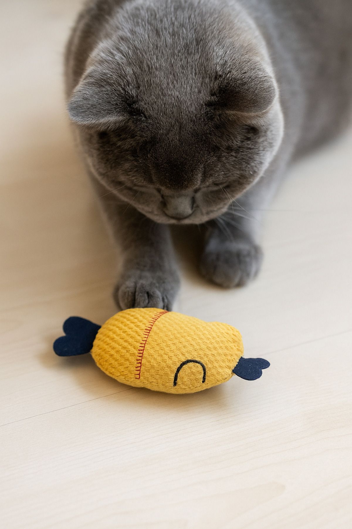 Lazy Paws-Cat Toy Interactive with Catnip and Bell, Stress Reliever, Relaxing Playmate - Yellow Fish 4