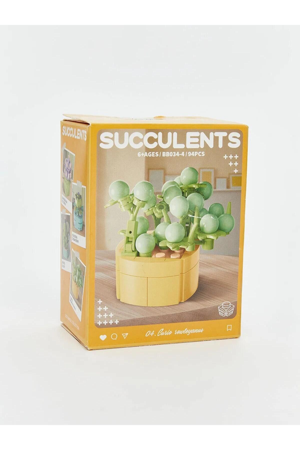 LC Waikiki-Lcw Accessories Succulent Flower Model Building Set (W5) 5