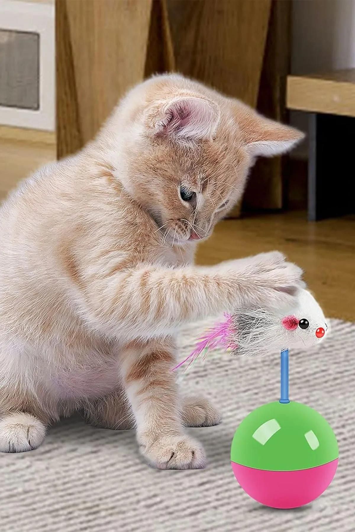 jetfast-Moving Cat Ball with Mouse Haci Yatmaz Kitten Toys Mouse Chasing Game 11 cm 8