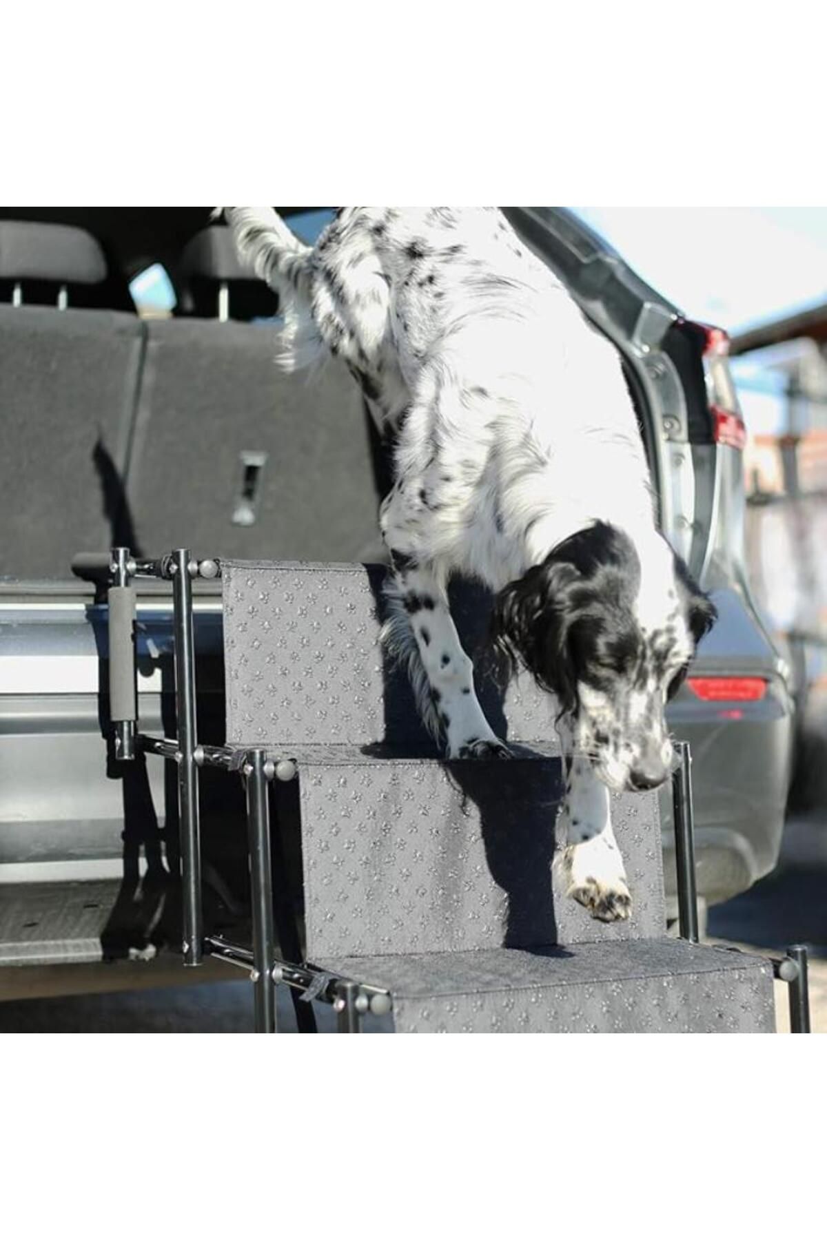 Bella & Balu-Folding ladder for dogs, 4 steps, adjustable height, stable, maximum load 58kg 5