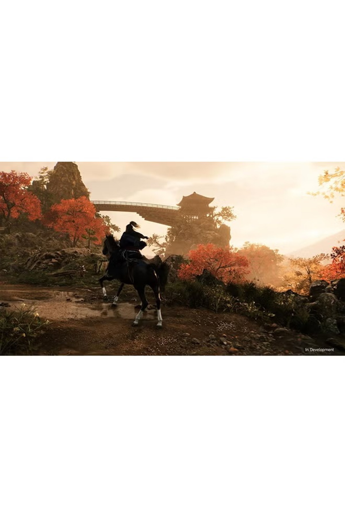 rexa-Rise of Ronin Intl Version for PlayStation 5 – Epic Open-World Samurai Action 4