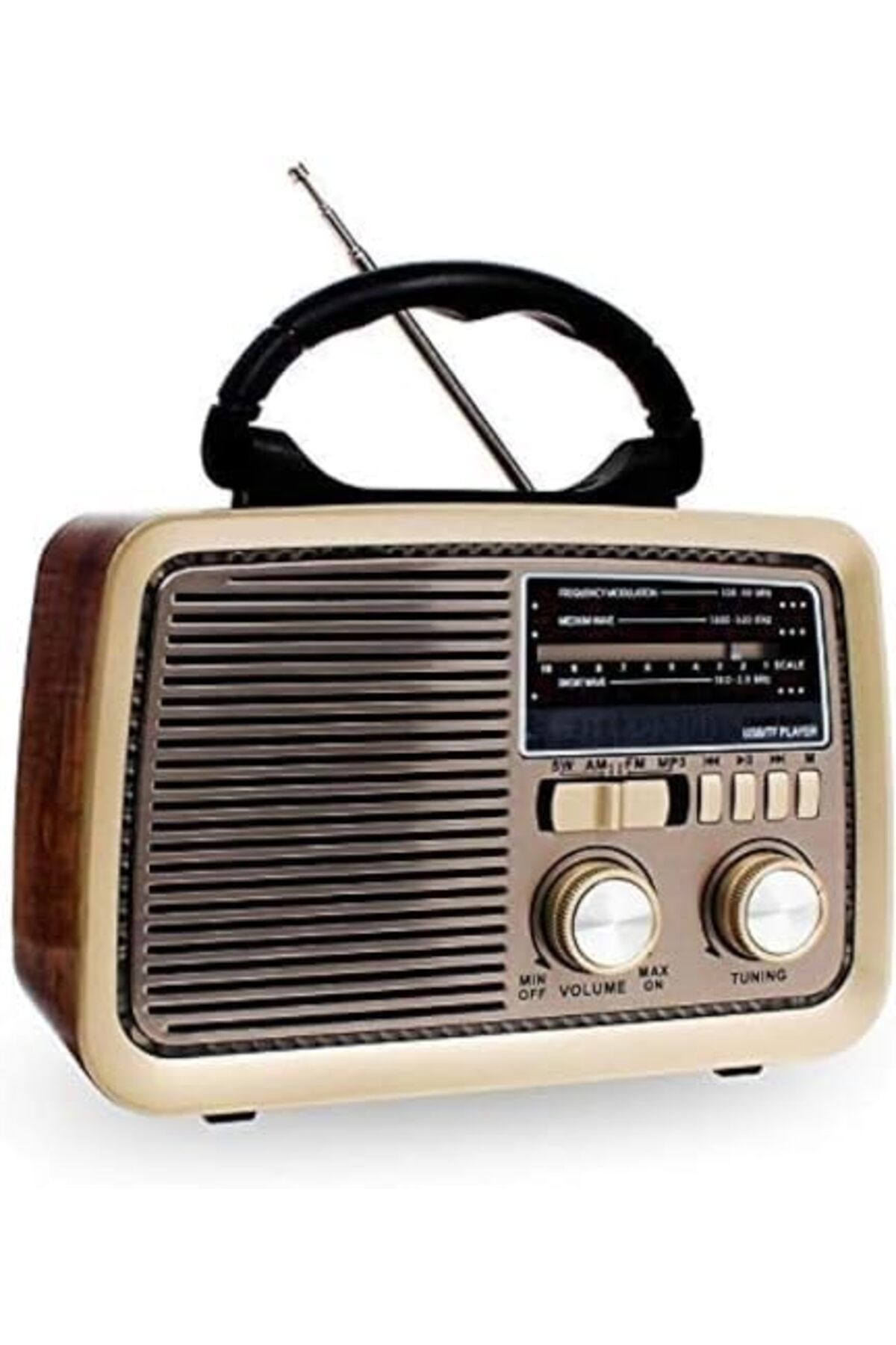 Generic-Bluetooth Hi-Fi Speaker with FM/AM/SW Radio, Flashlight, USB/TF Card Slot, AUX Input, Portable Wirel 1