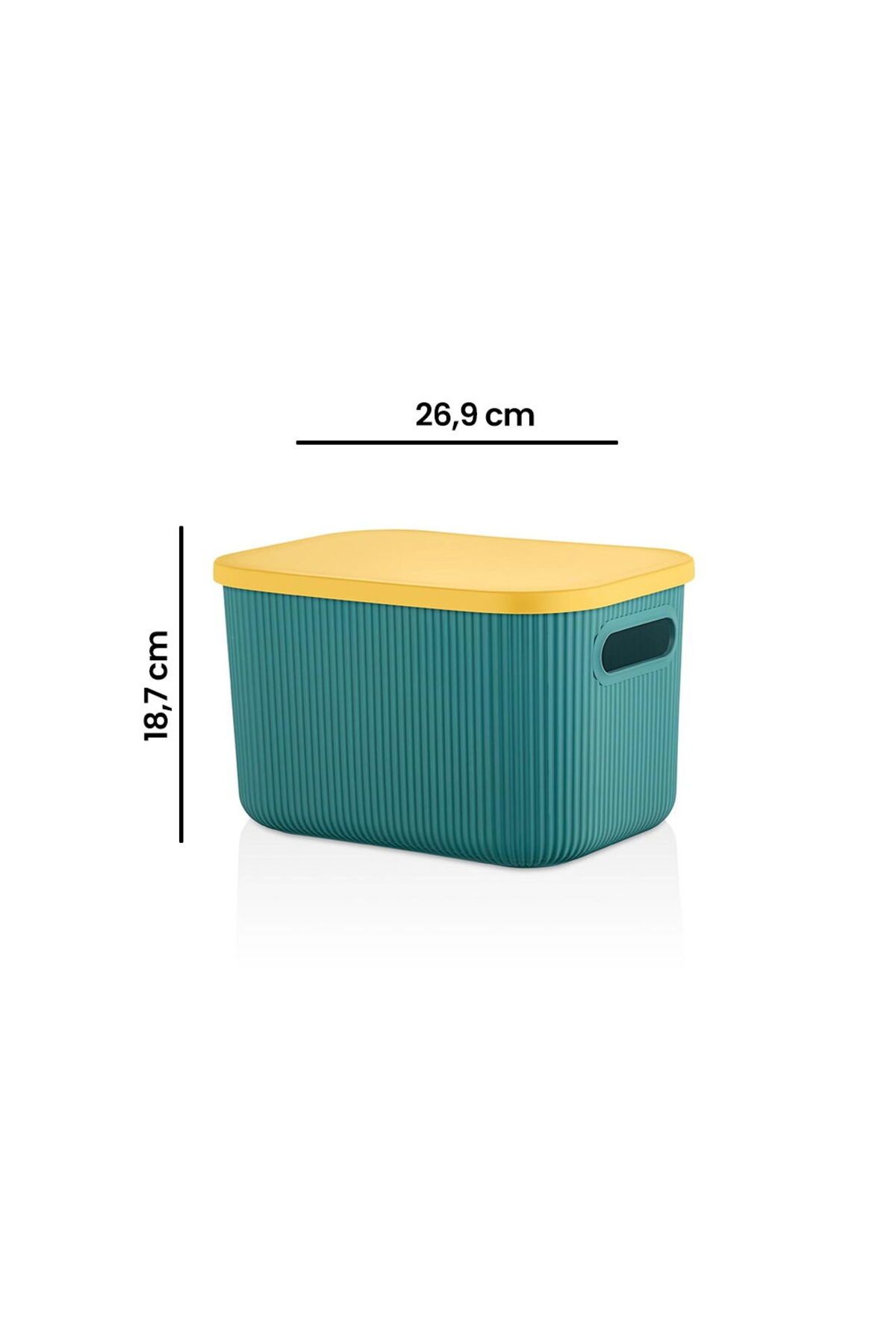 Lova-Box with Shell Lid - 6 Lt - Asorti 2