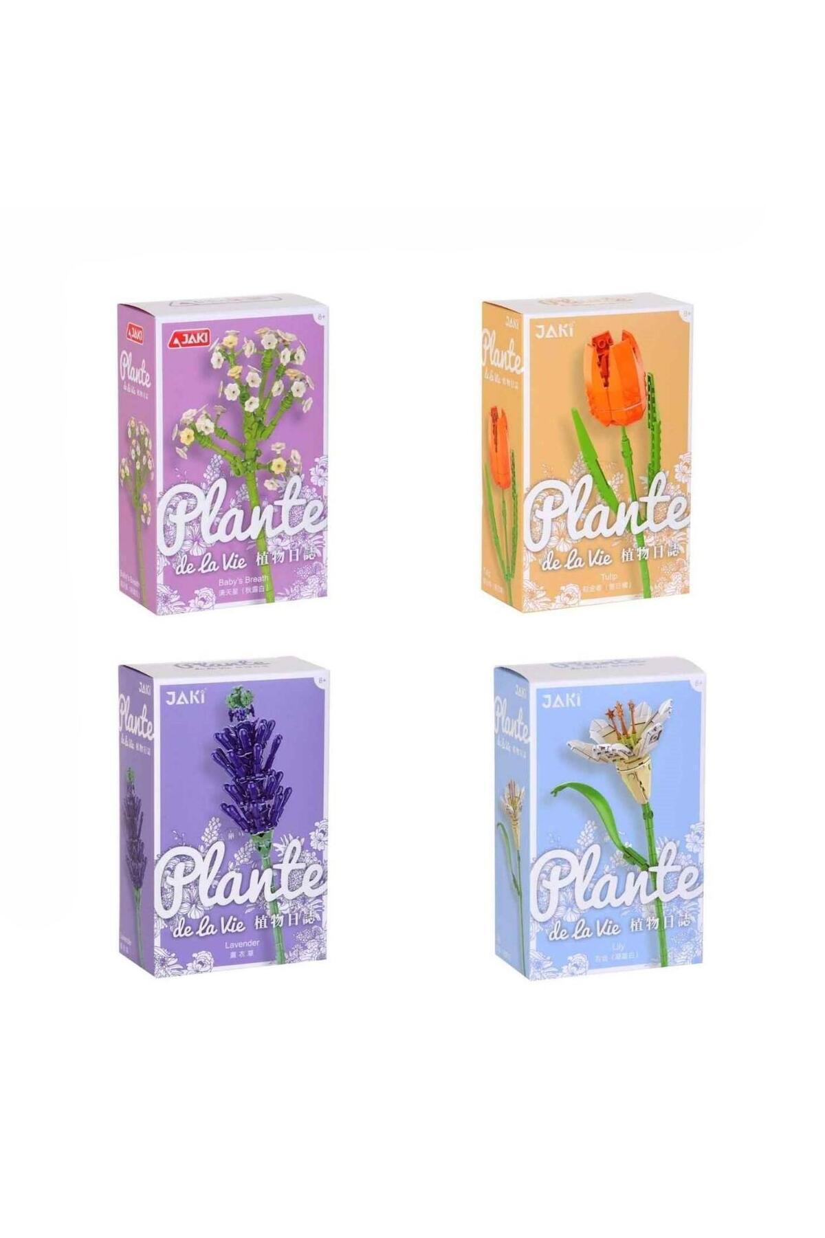 ساختمان گل، ساختمان اسباببازی، اسباببازی