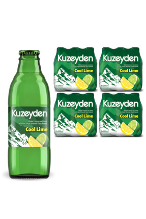 KUZEYDEN Cool Lime Doğal Mineralli Gazlı İçecek | Misket Limonu, Limon | 24x2...