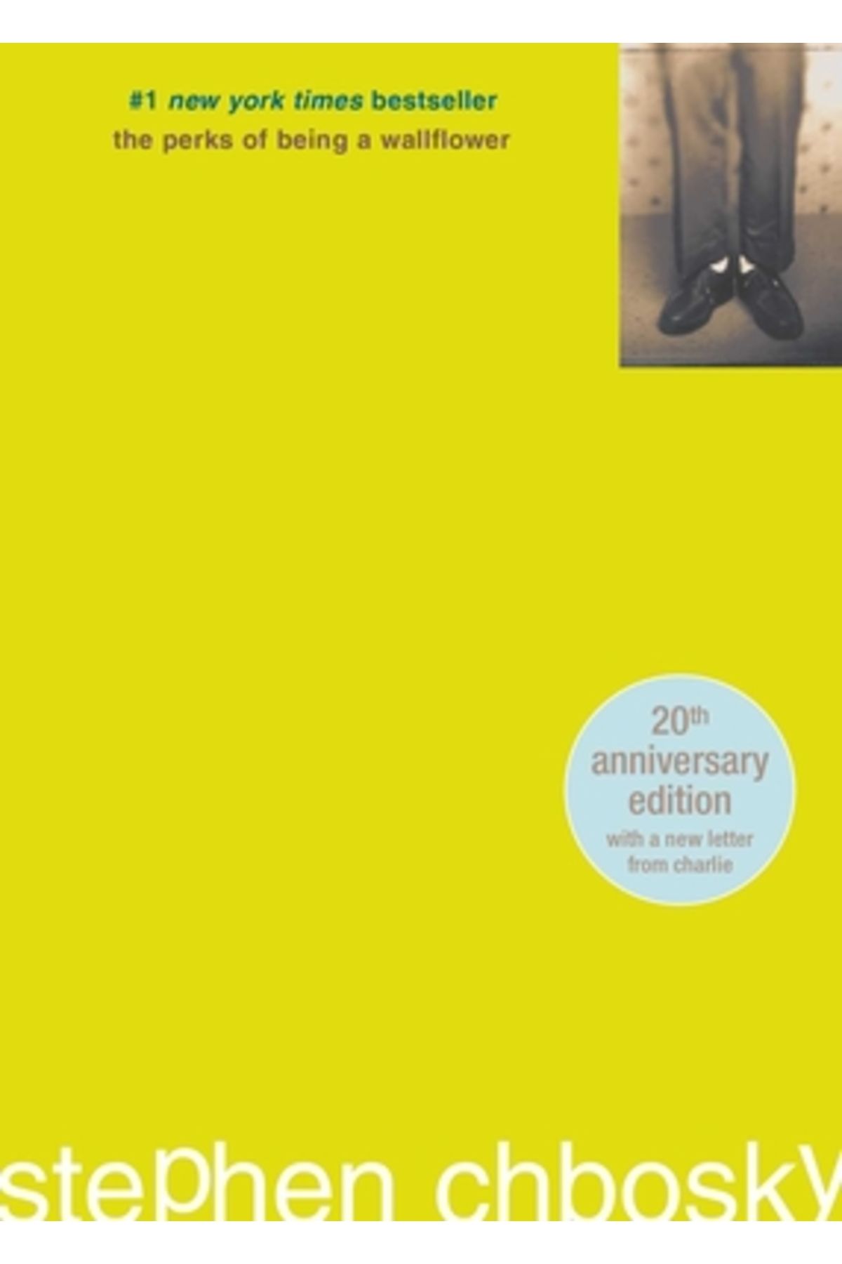 MTV Books-The Perks of Being a Wallflower 1