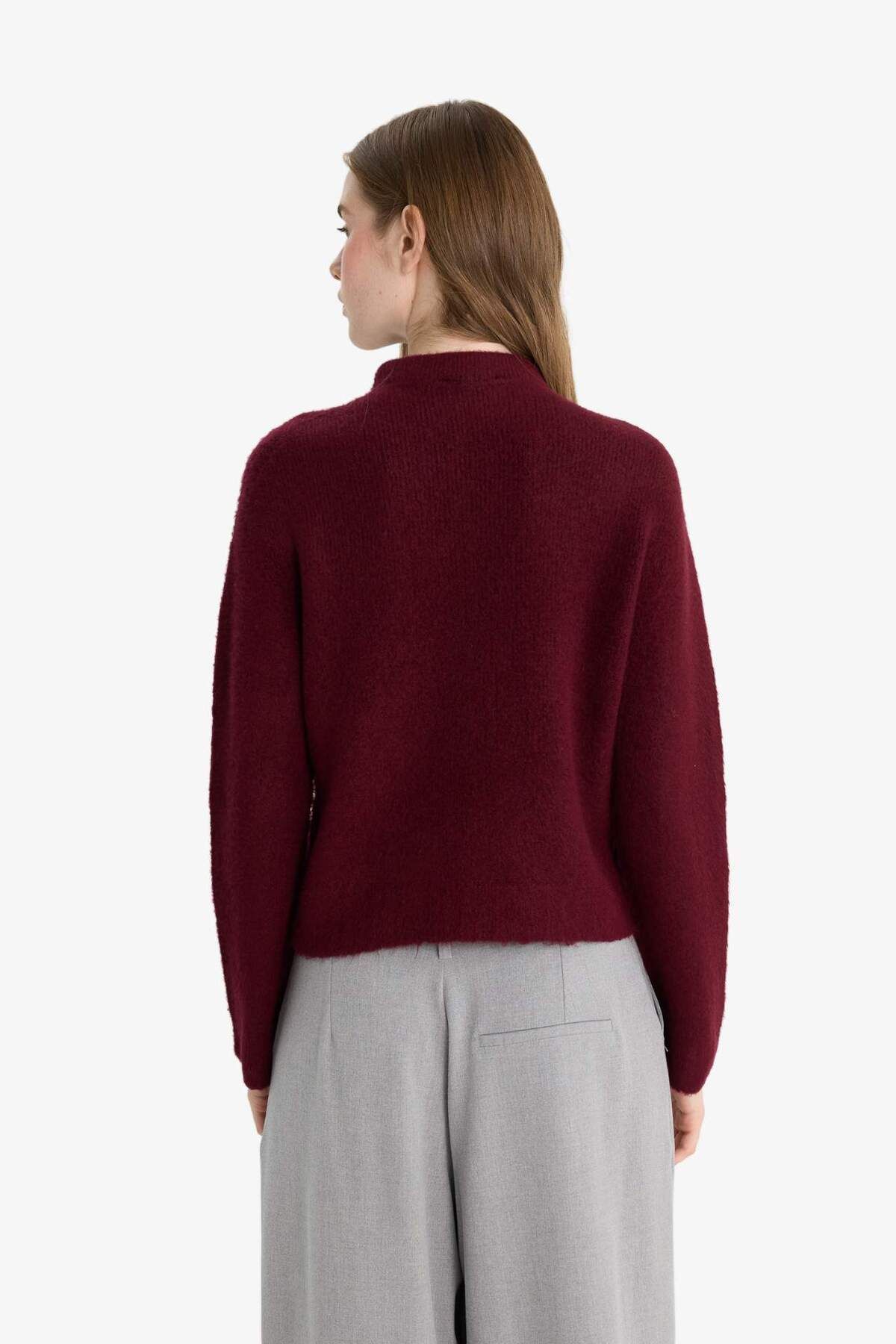 DeFacto-Regular Fit Half Turtleneck Sweater F4768Ax25Wn 6