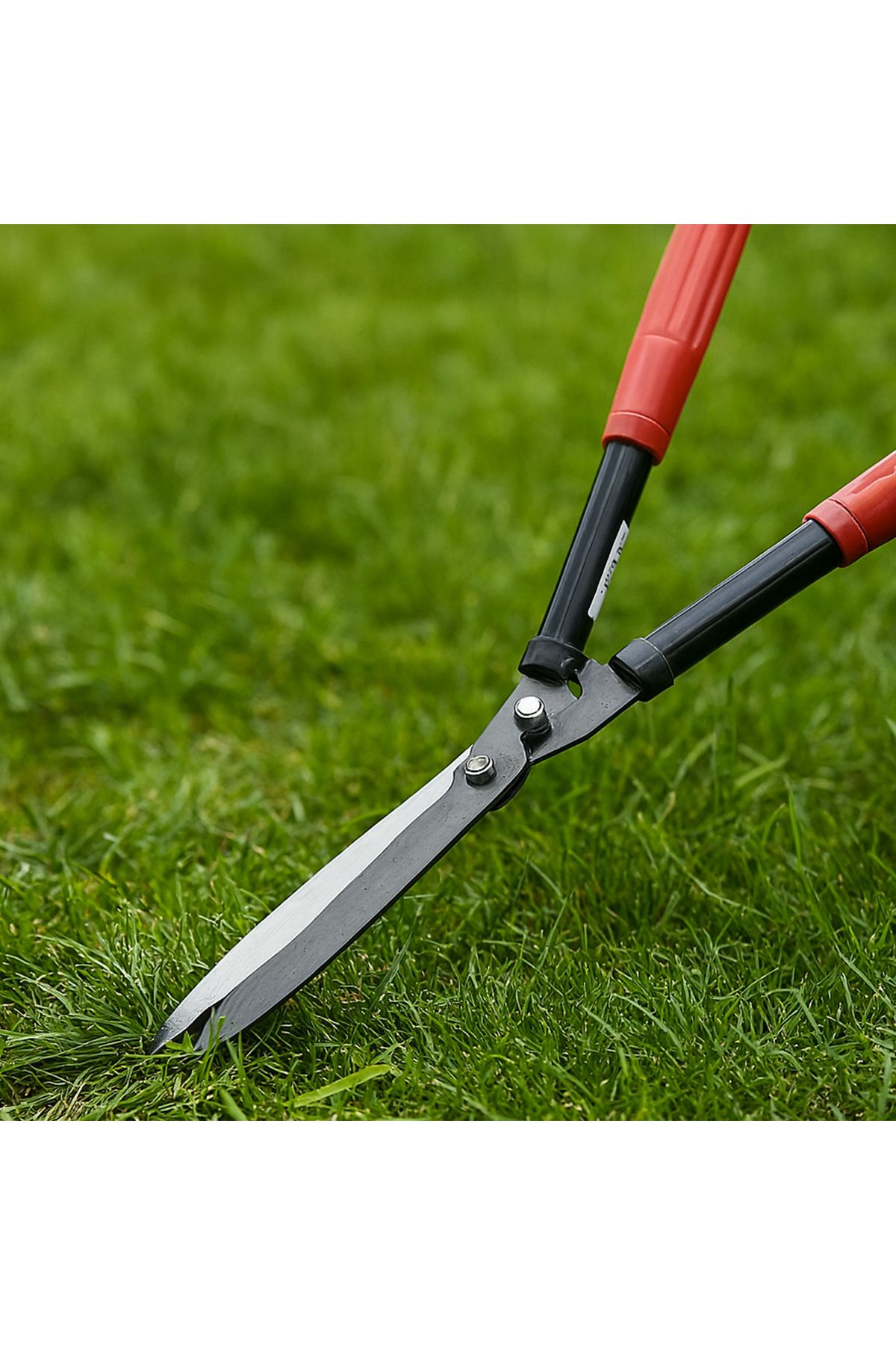 Badem10-Plastic Handle Curve Grass Pruning Shears Bush Grass Mower Cutting Scissors 50cm Sharp Metal Blade 1Pcs 3