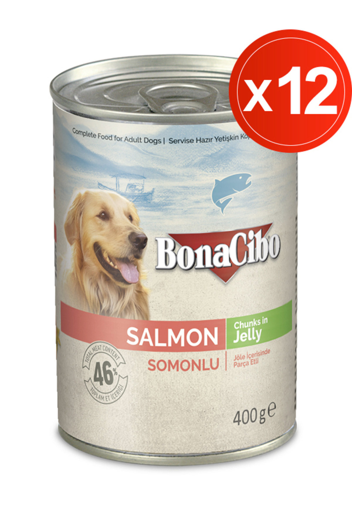 BonaCibo Jöleli Somonlu Yaş Köpek Maması, 400 Gr x 12 Adet, Tüm Irklar İçin, Doğal, Şeker İçermez