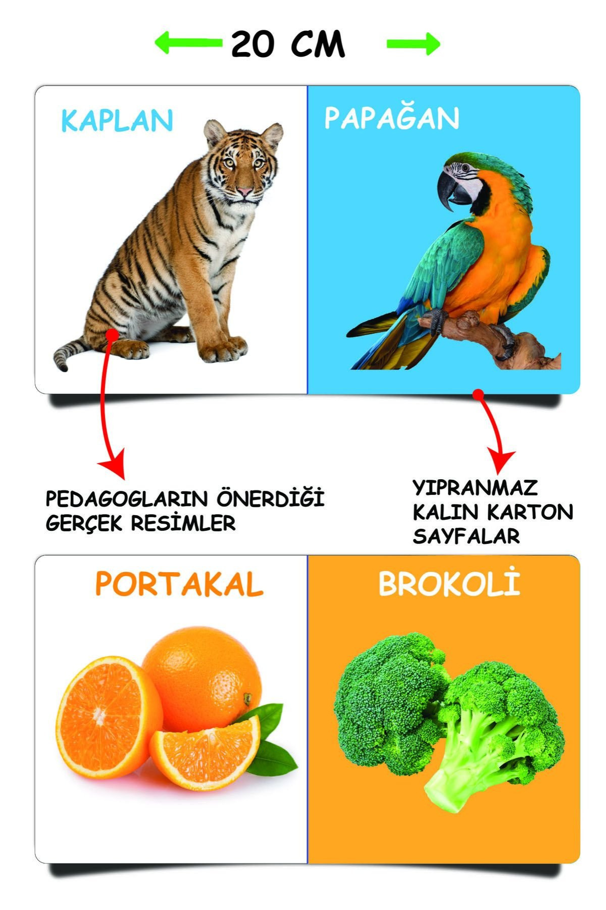 Diytoy TinyUp İlk Kütüphanem - 8'li Mini Kitap Seti | İlk Sözcükler | Eğitici ve Eğlenceli Bebek Kitapları fotoğrafı 3 (önizleme)