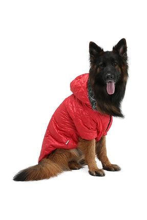 Büyük Irk Kırmızı Puf Köpek Montu -köpek Yağmurluğu DG100412