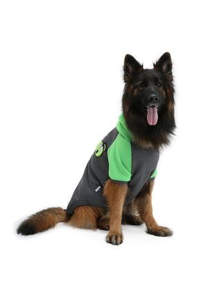 Büyük Irk Apple Köpek Sweati -köpek Kiyafeti DG100361