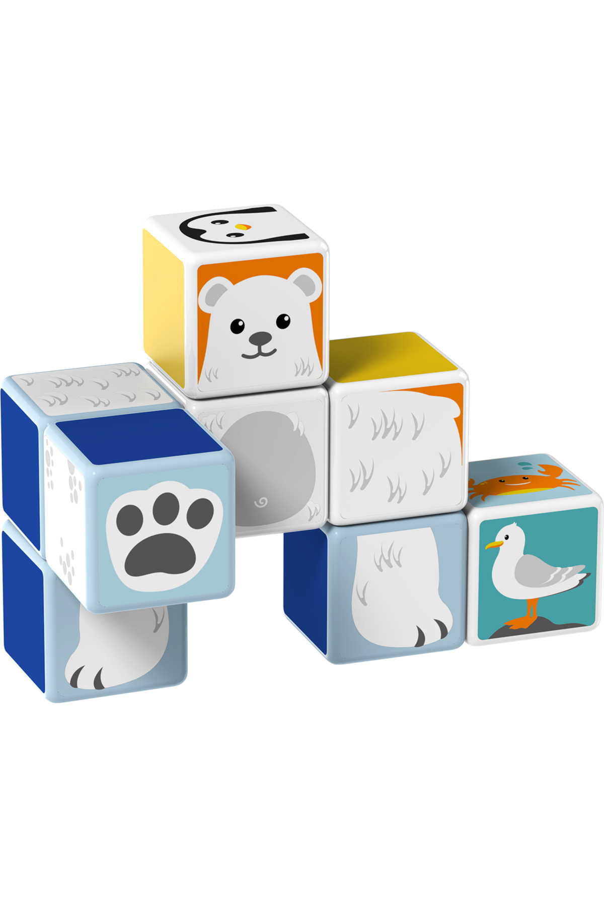 مکعب‌مغناطیسی پولار-دریایی حیوانات با کارت‌ها، اسباب‌بازی ۱۱ تکه