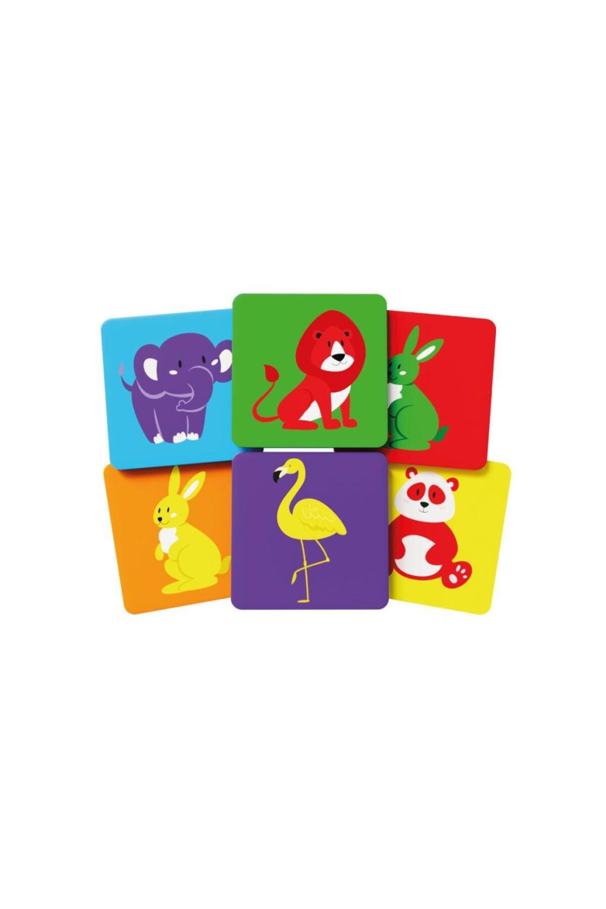 Rd5641 حیوان هوشمند حیوانات هوشمند